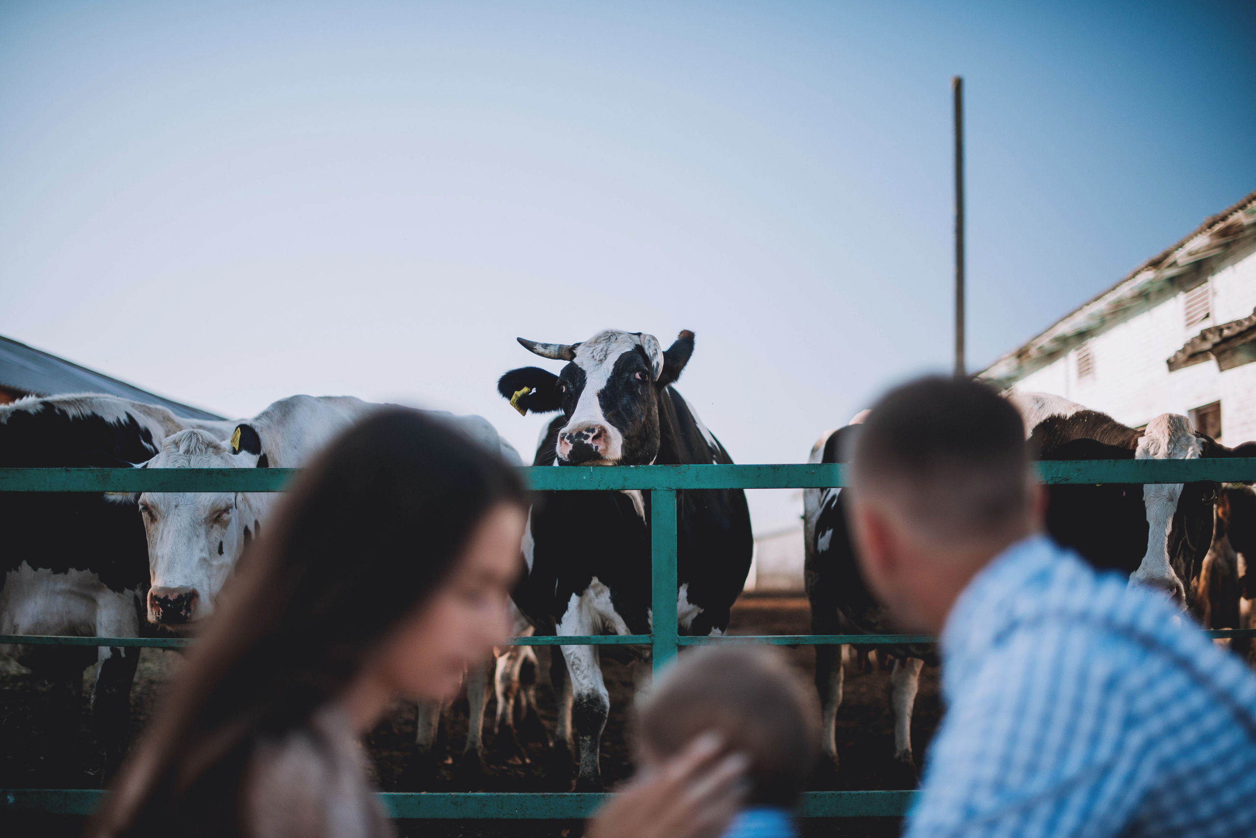 Alina, Stas, Mark. Home page