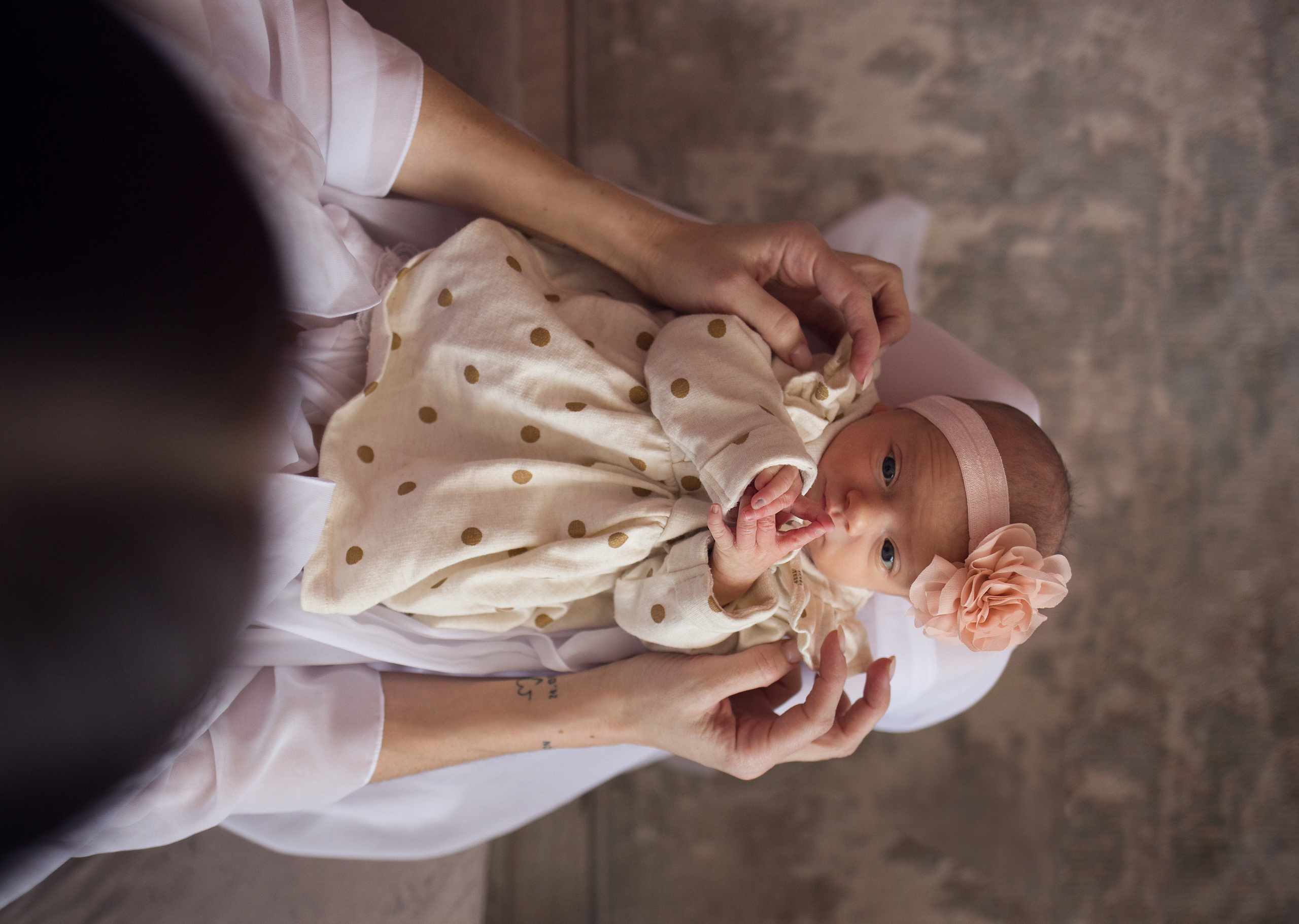 2 weeks. Family photographer in Vilnuis Svetlana Naumova