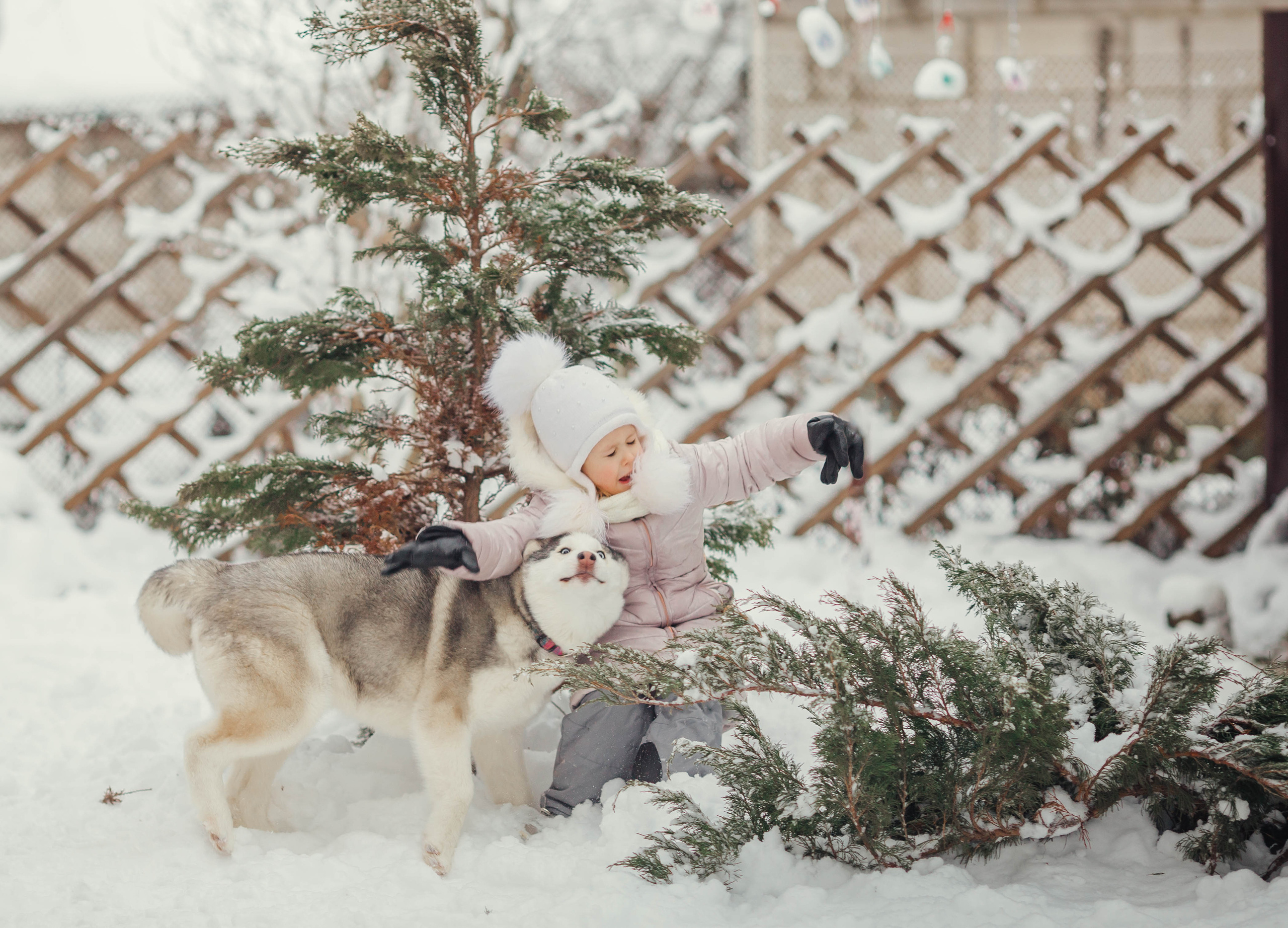 Waiting for the holiday. Family photographer in Vilnuis Svetlana Naumova