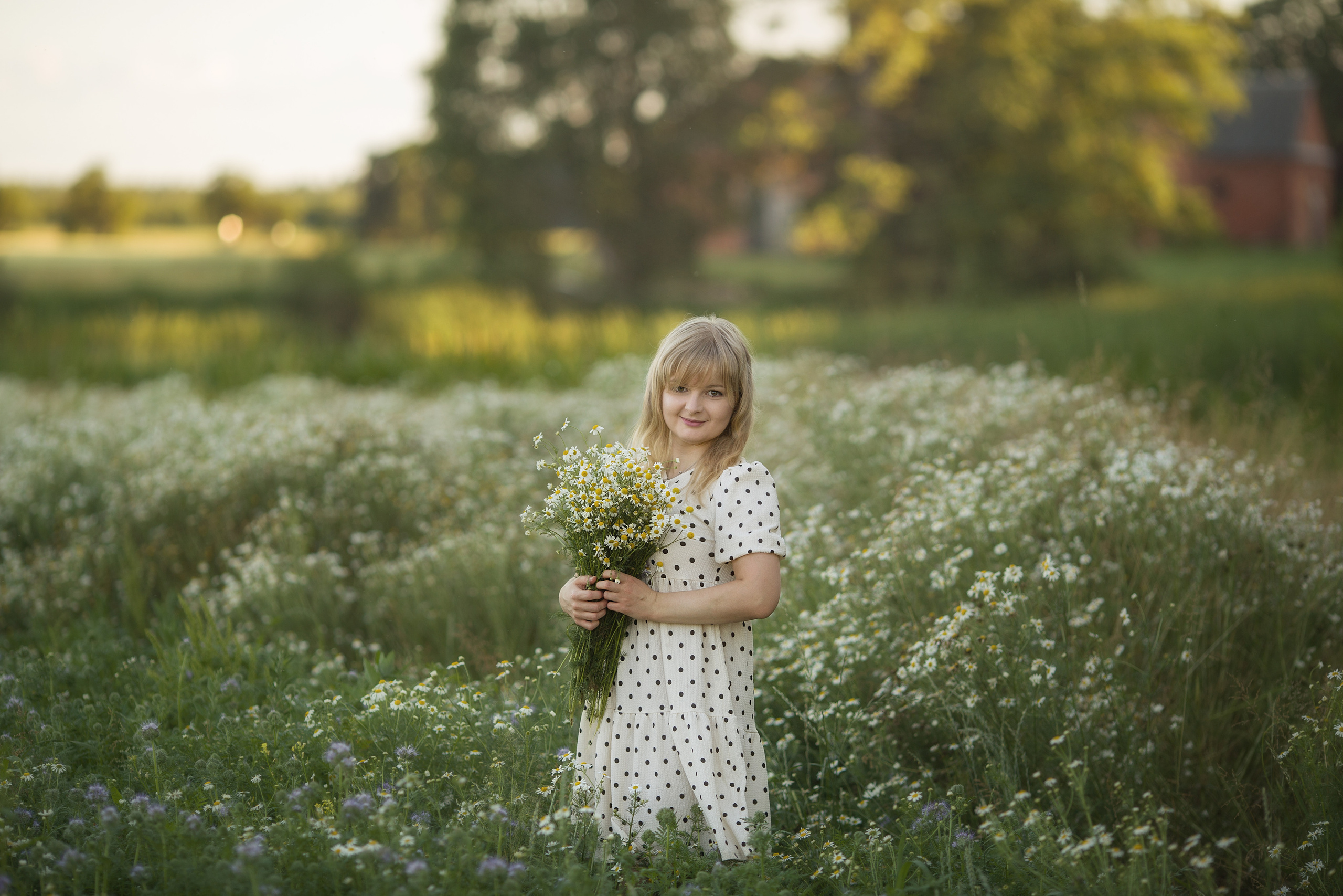 Family walk in a chamomile field. Family photographer in Vilnuis Svetlana Naumova