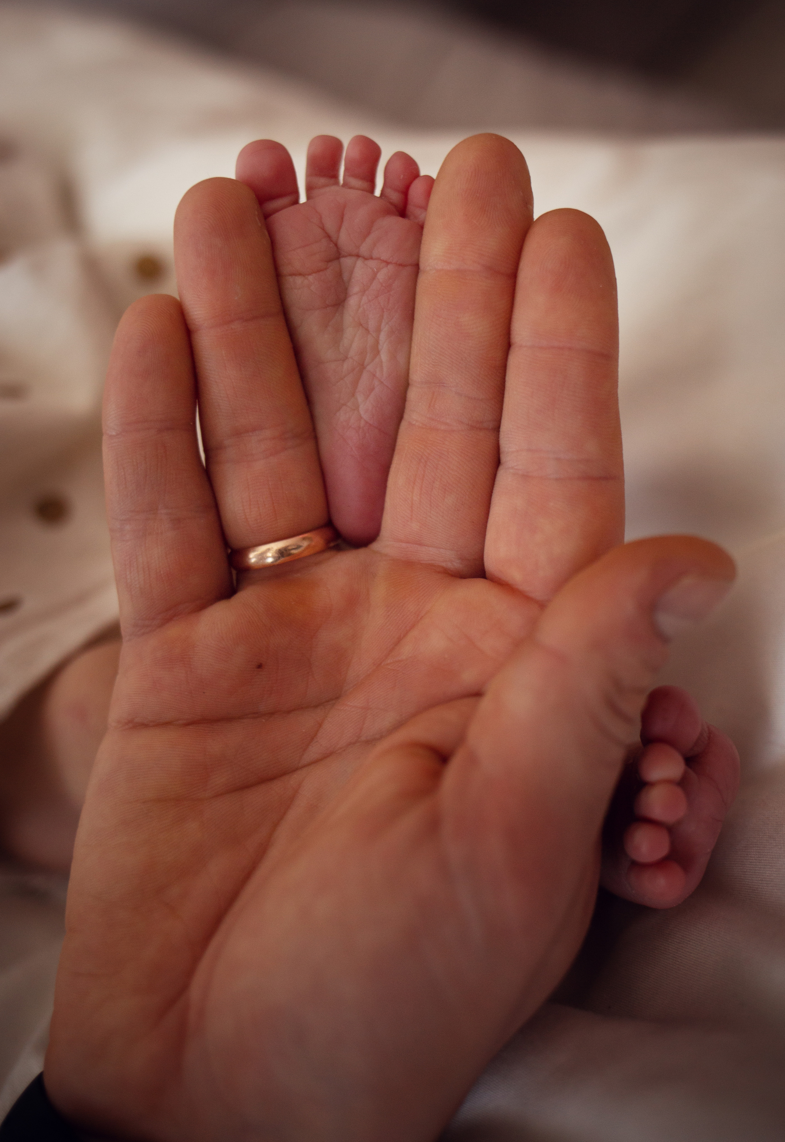 2 weeks. Family photographer in Vilnuis Svetlana Naumova