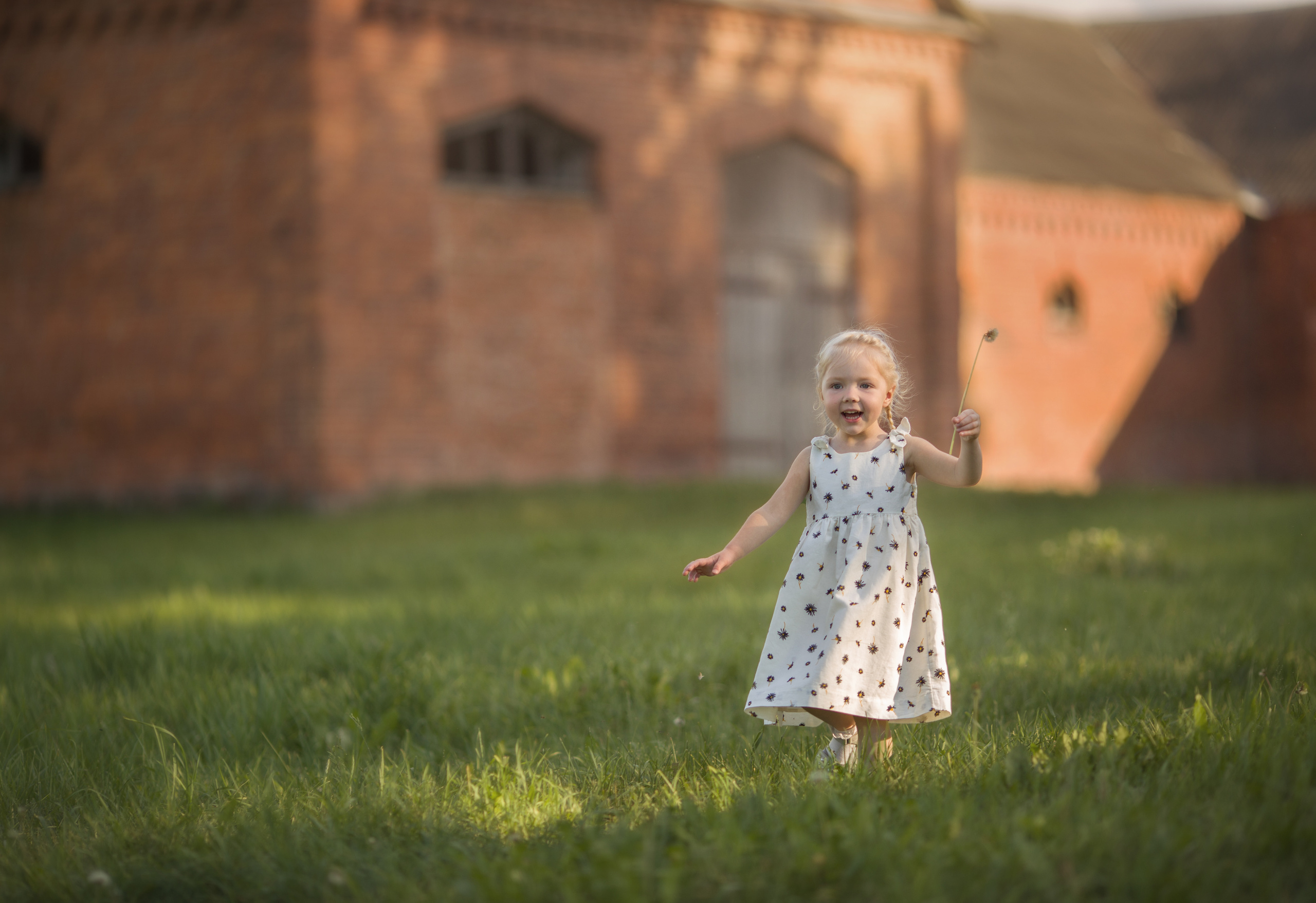 Family walk in a chamomile field. Family photographer in Vilnuis Svetlana Naumova