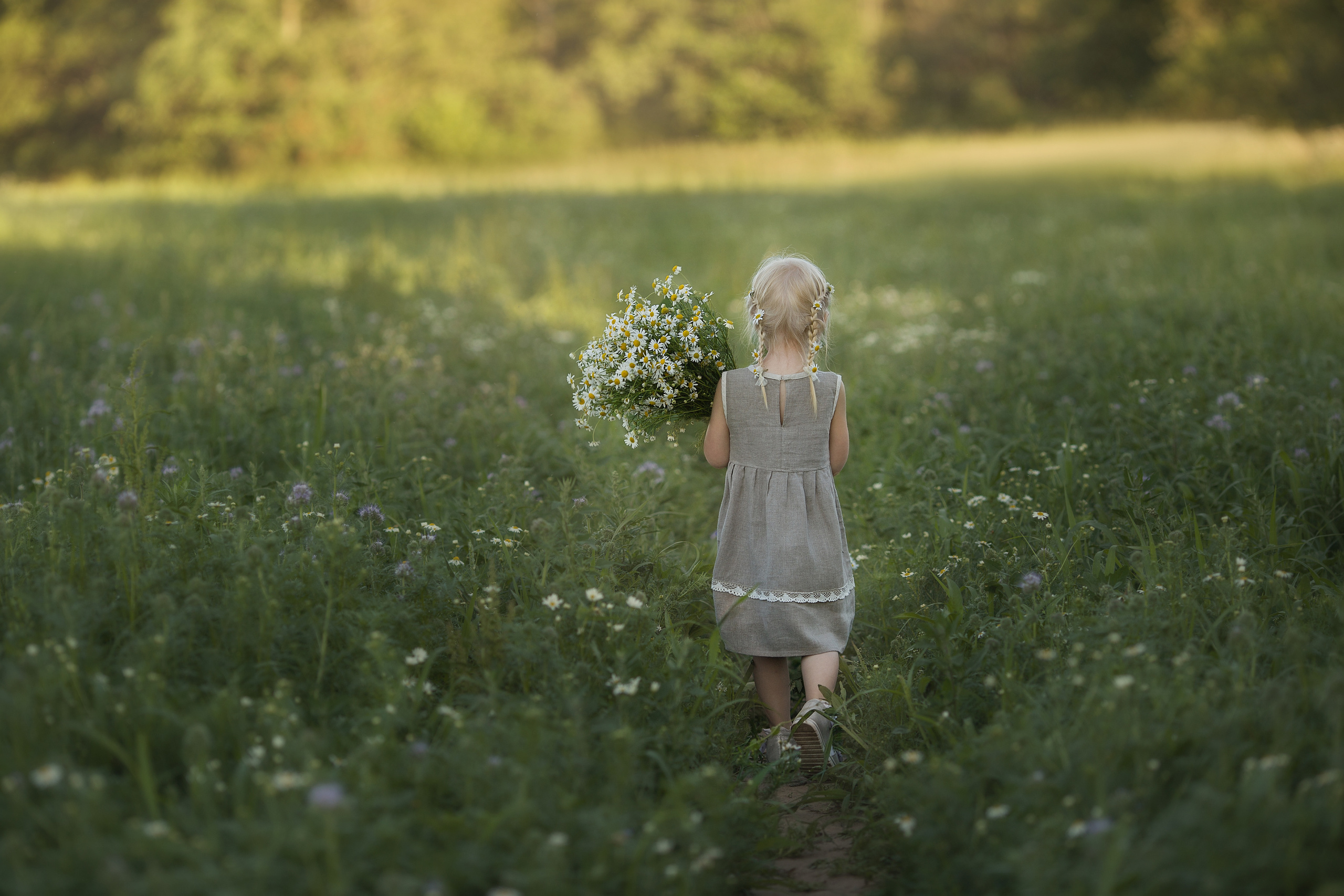 Family walk in a chamomile field. Family photographer in Vilnuis Svetlana Naumova