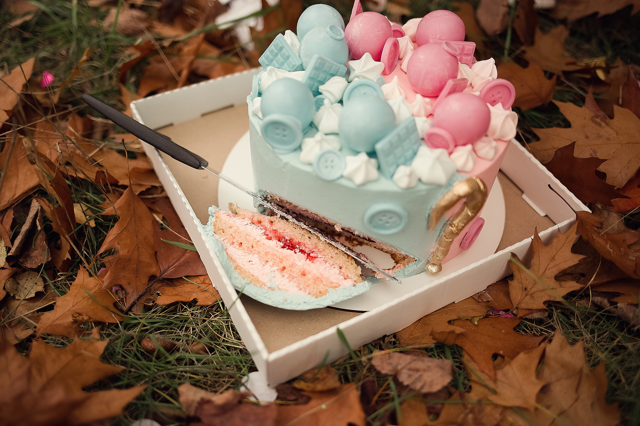 Мальчик или девочка. Семейный и детский фотограф в Вильнюсе Светлана Наумова