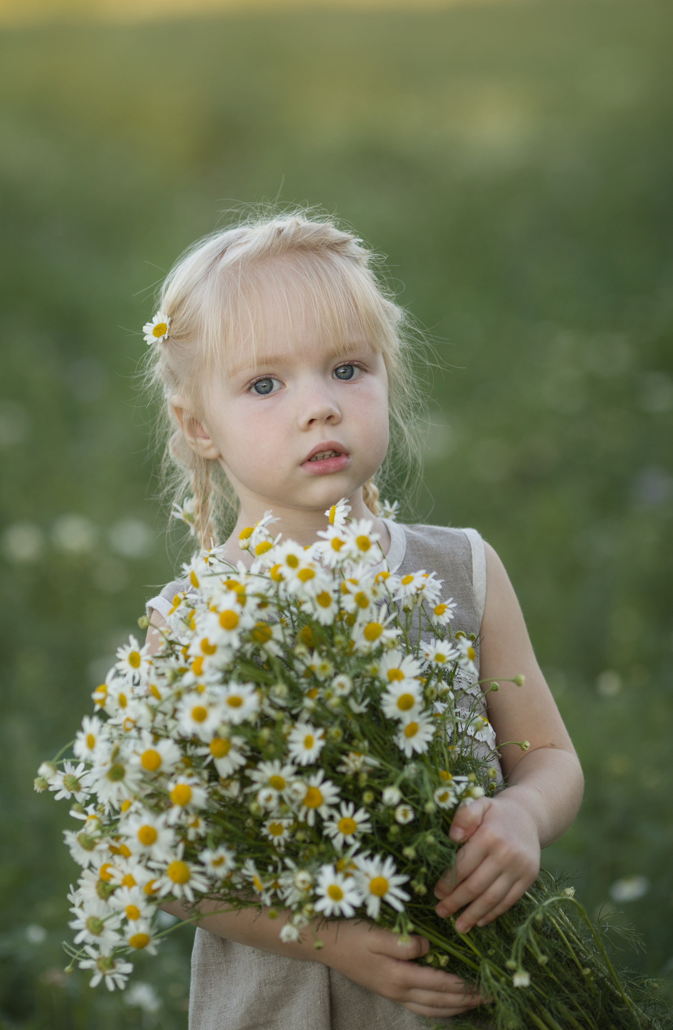 Family walk in a chamomile field. Family photographer in Vilnuis Svetlana Naumova