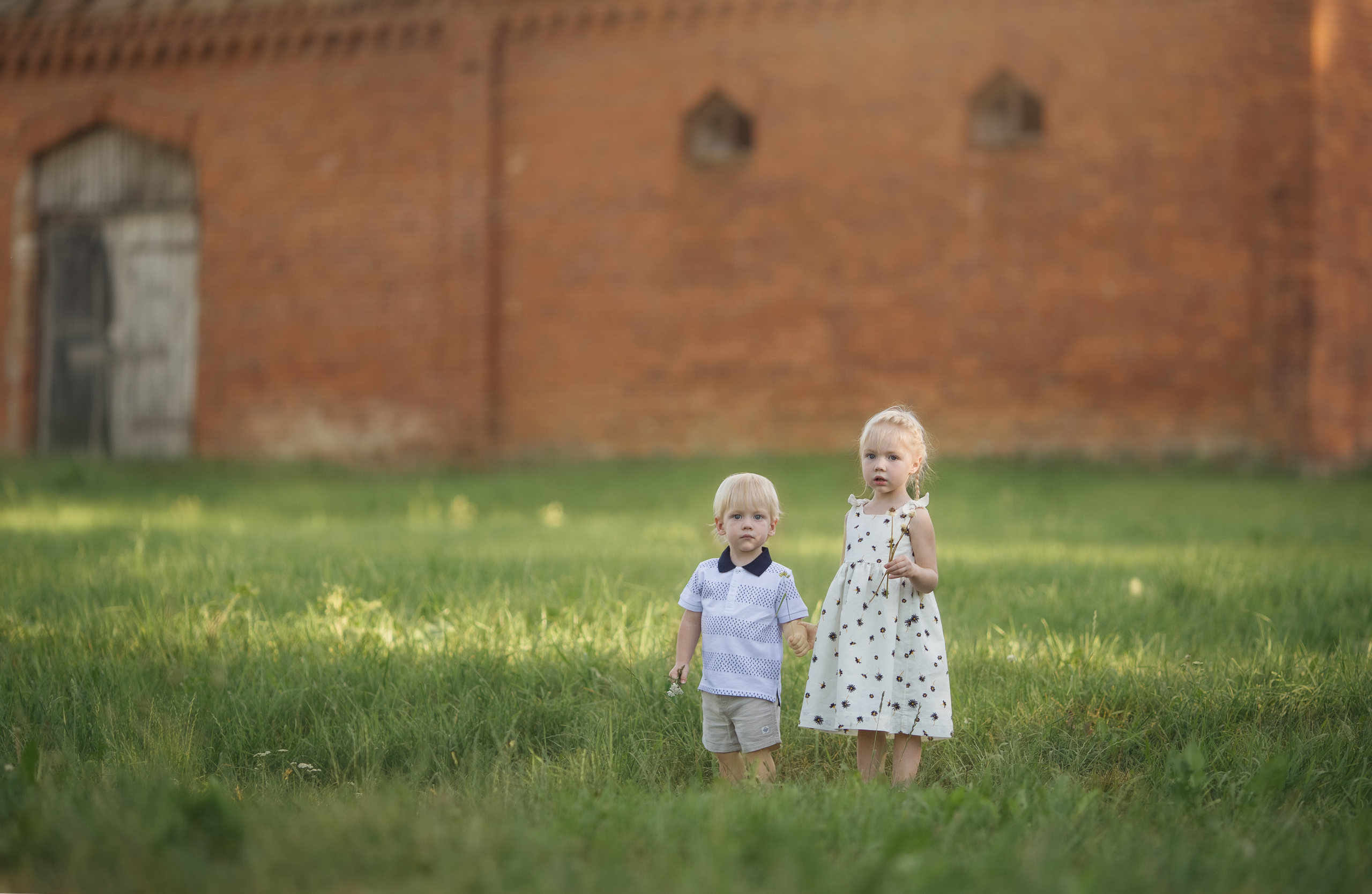 Family walk in a chamomile field. Family photographer in Vilnuis Svetlana Naumova