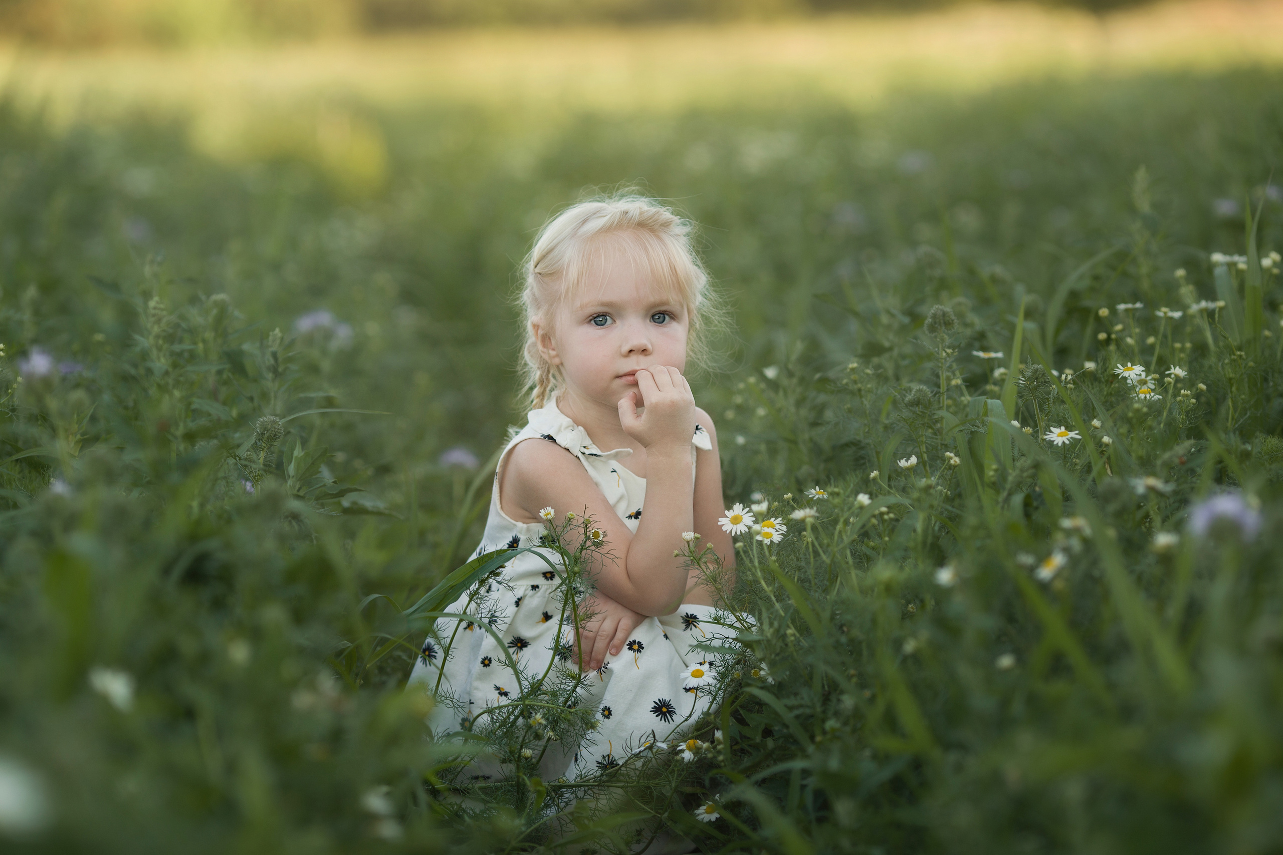 Family walk in a chamomile field. Family photographer in Vilnuis Svetlana Naumova