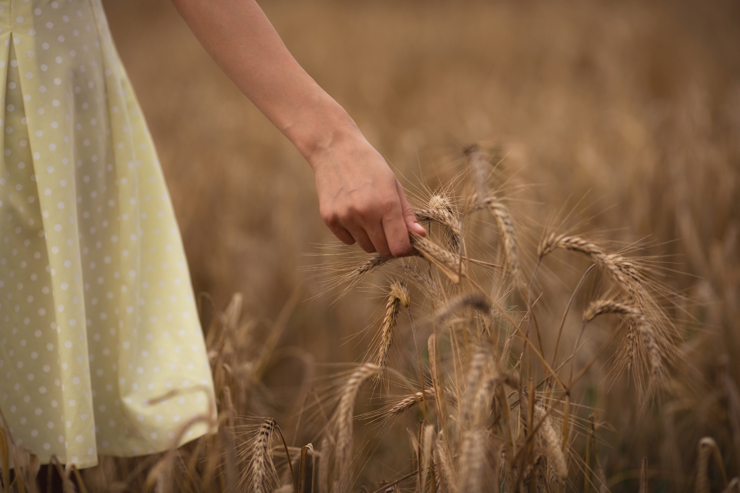 Семья Дениса и Кати. Семейный и детский фотограф в Вильнюсе Светлана Наумова