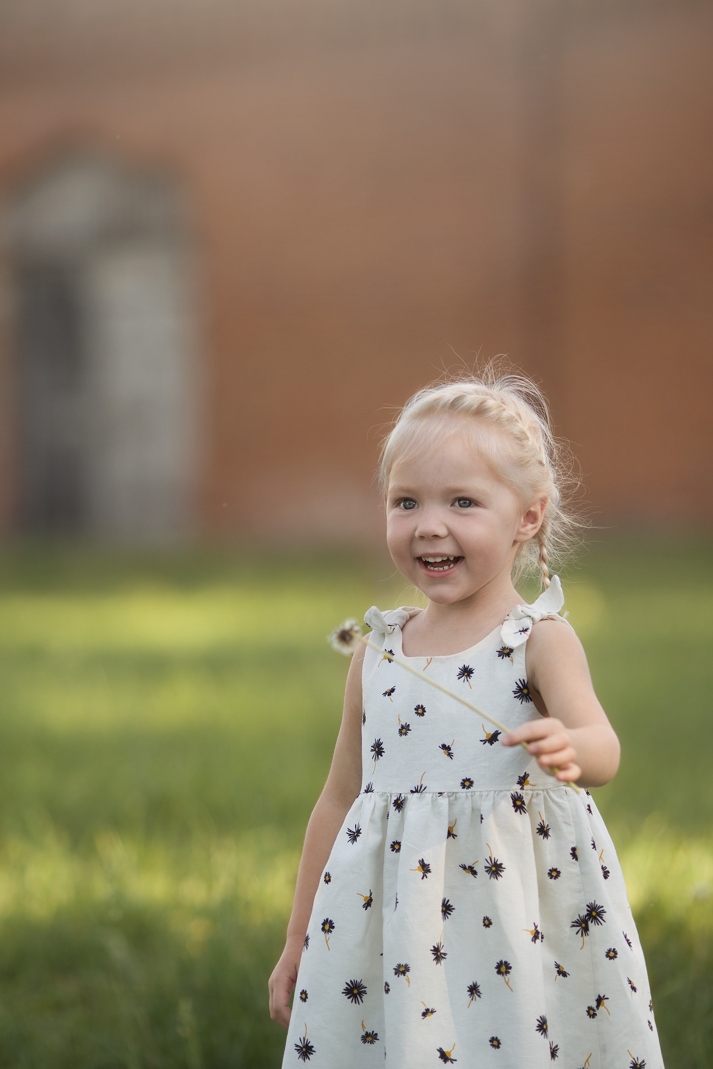 Family walk in a chamomile field. Family photographer in Vilnuis Svetlana Naumova