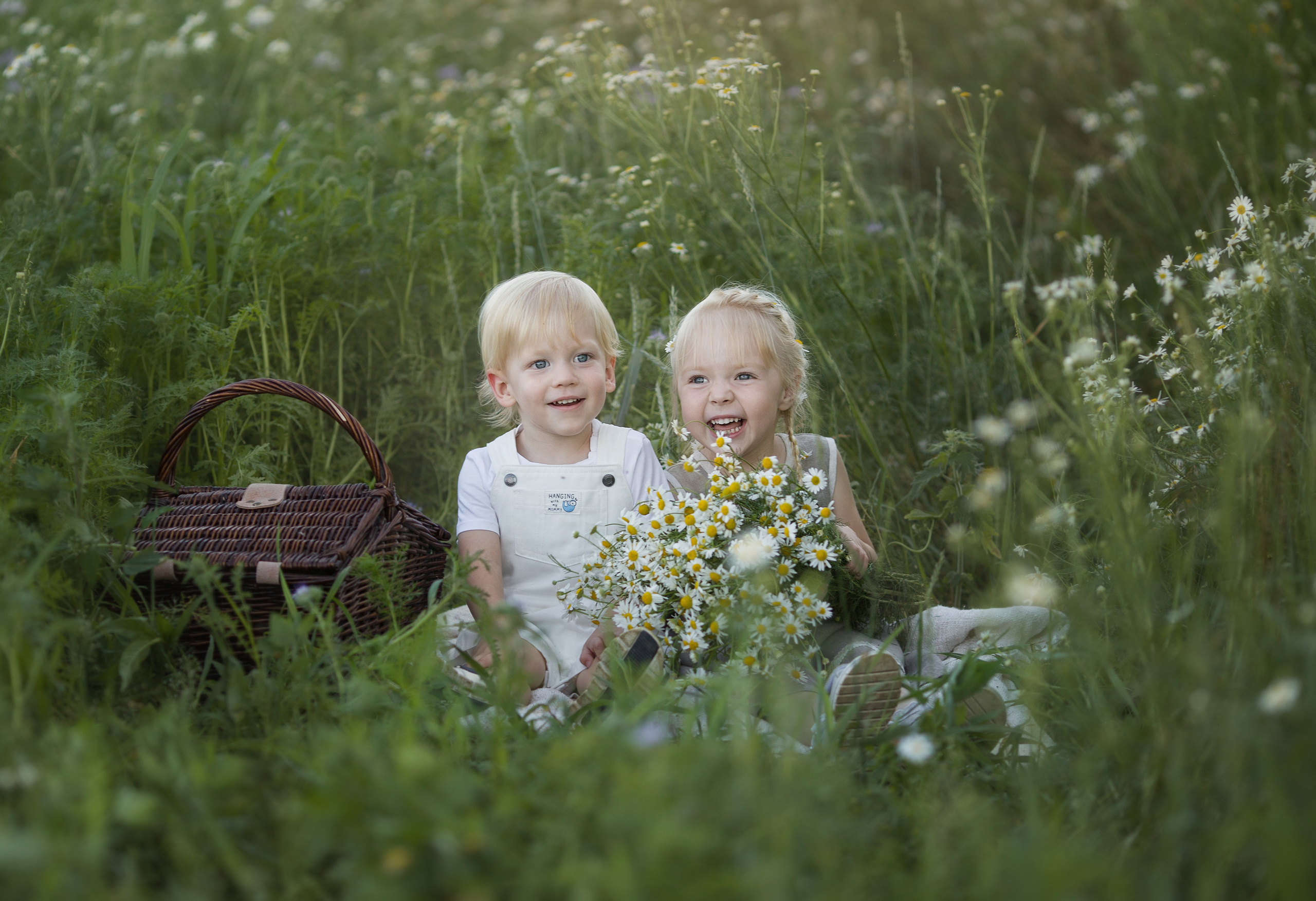 Family walk in a chamomile field. Family photographer in Vilnuis Svetlana Naumova