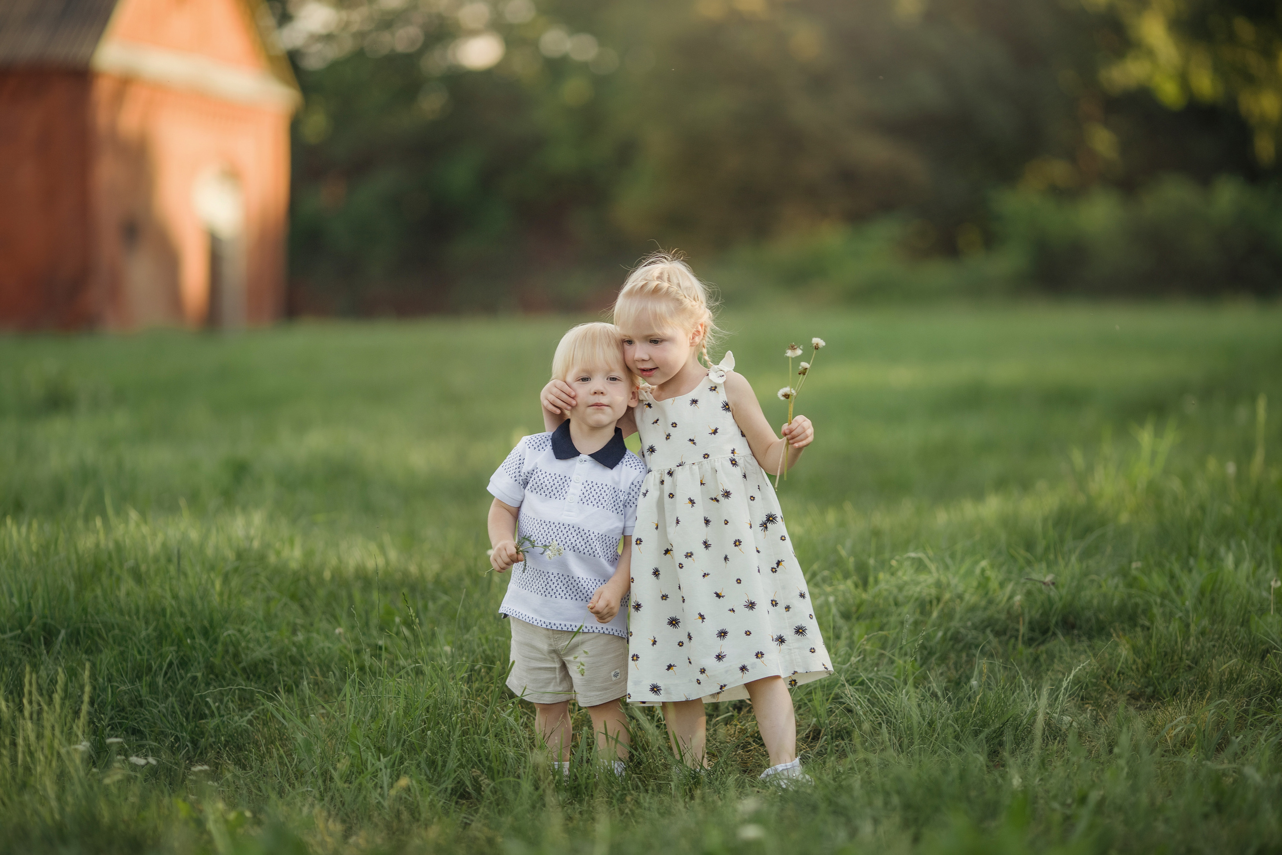 Family walk in a chamomile field. Family photographer in Vilnuis Svetlana Naumova