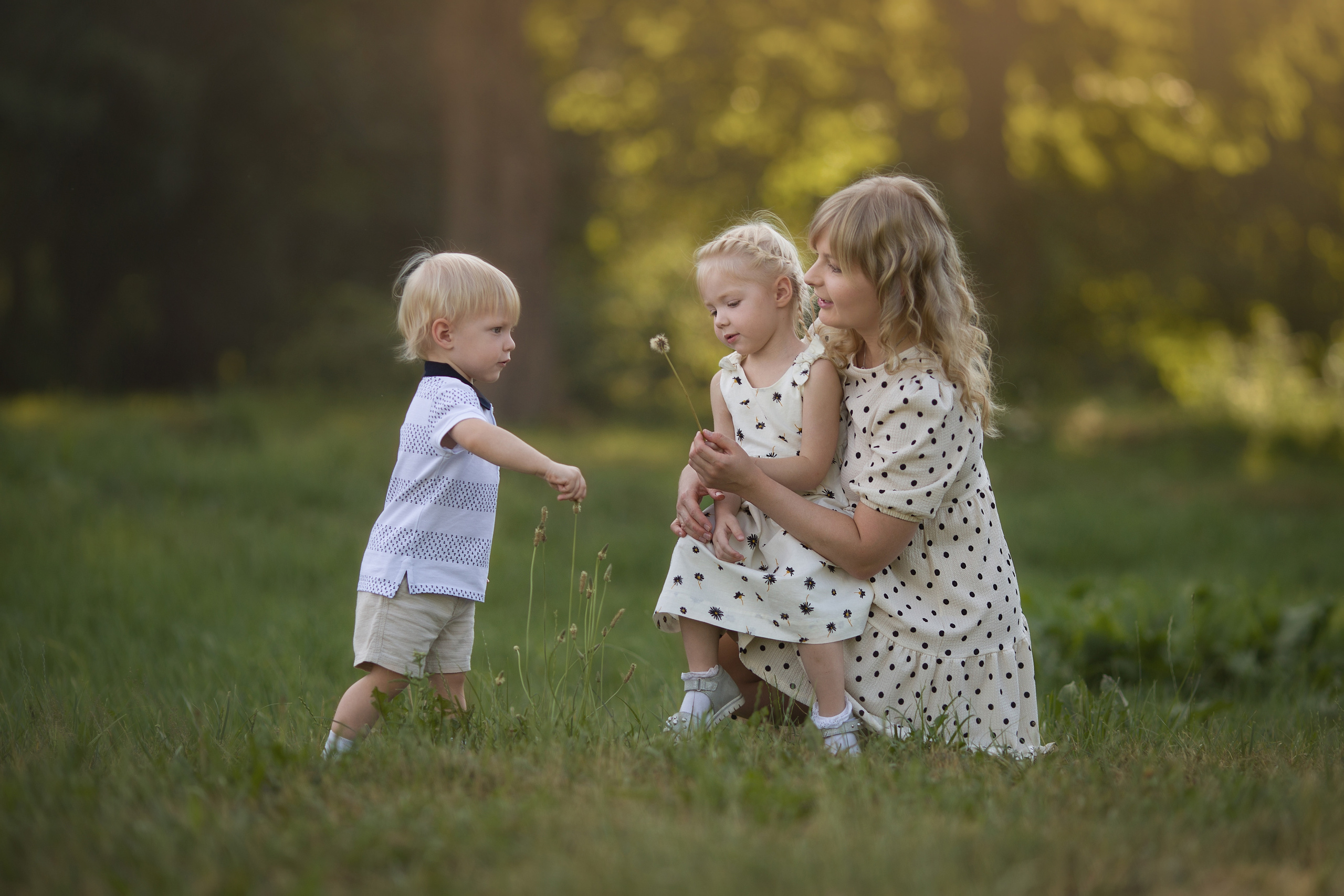 Family walk in a chamomile field. Family photographer in Vilnuis Svetlana Naumova