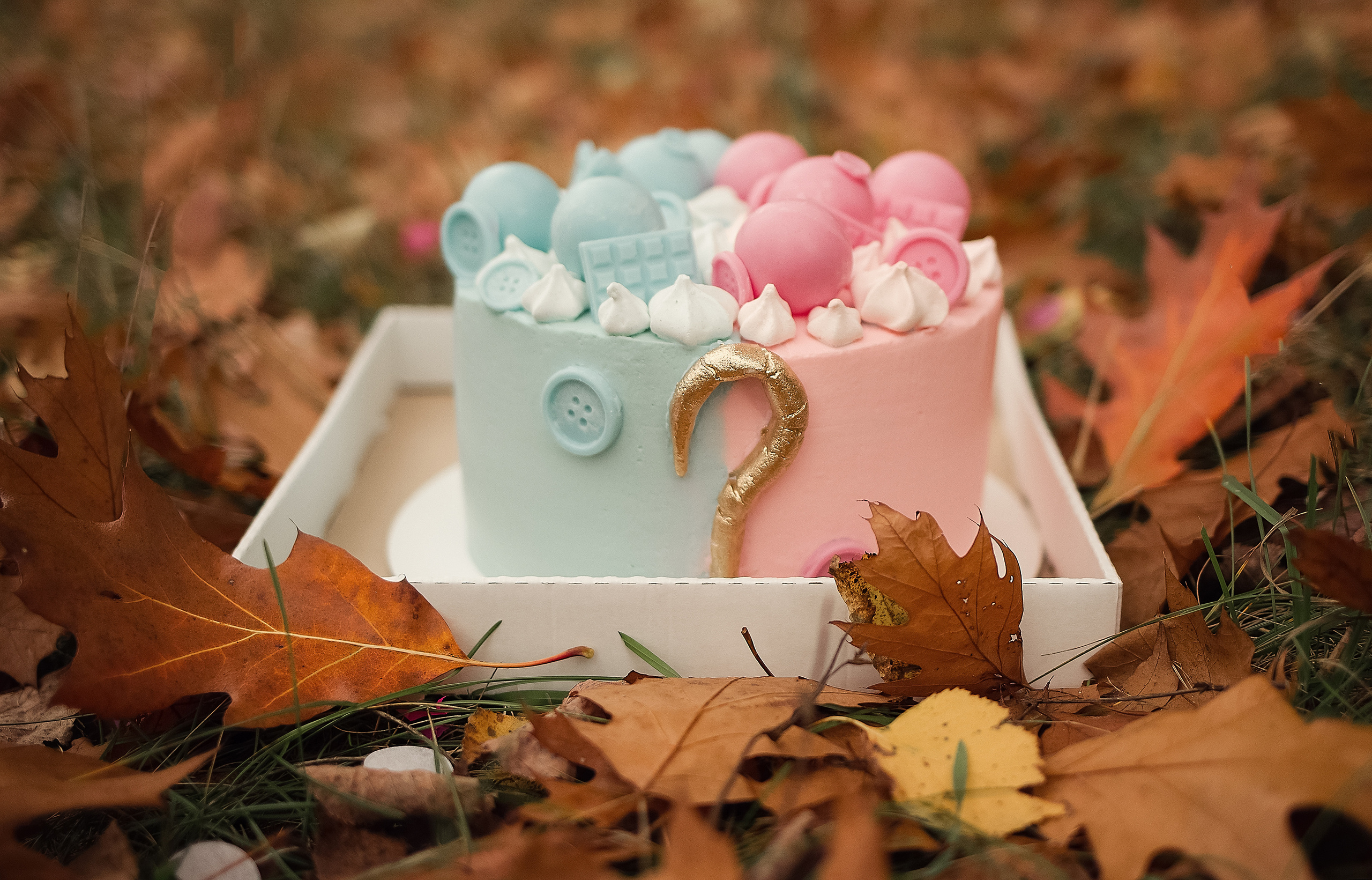 Мальчик или девочка. Семейный и детский фотограф в Вильнюсе Светлана Наумова