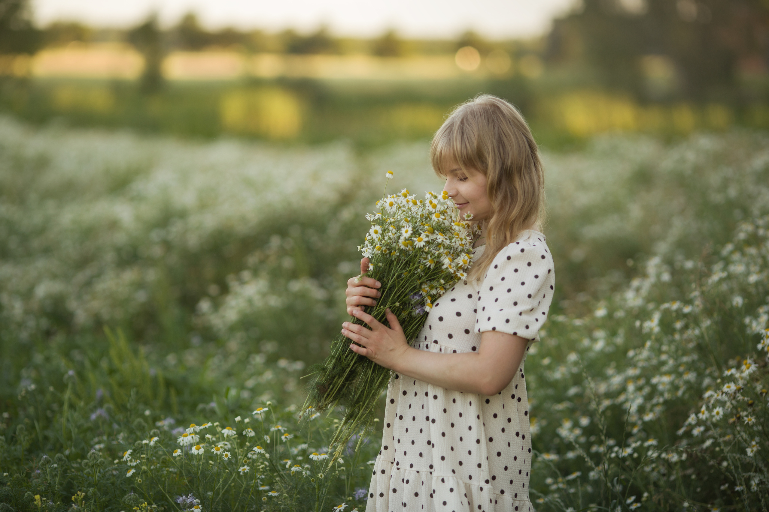 Family walk in a chamomile field. Family photographer in Vilnuis Svetlana Naumova