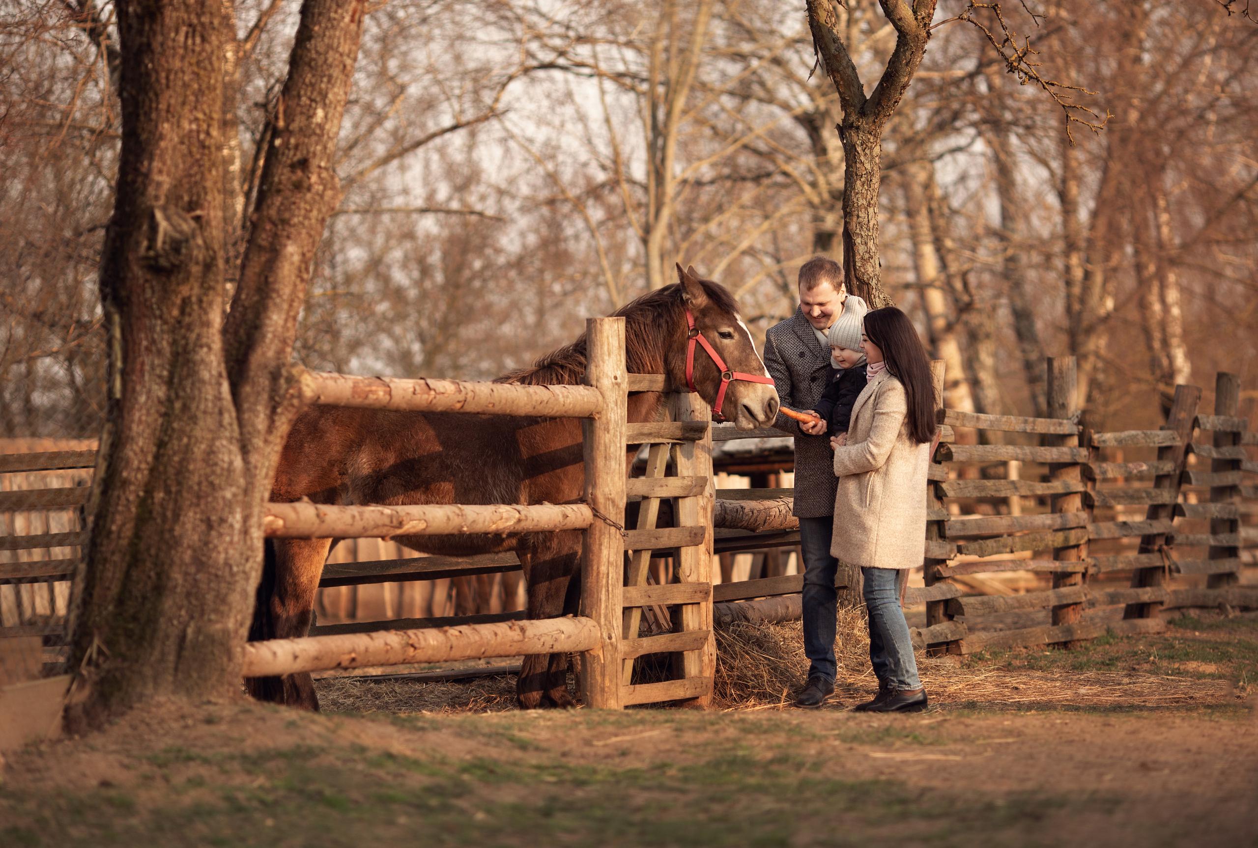 Прогулка в конном клубе. Семейный и детский фотограф в Вильнюсе Светлана Наумова