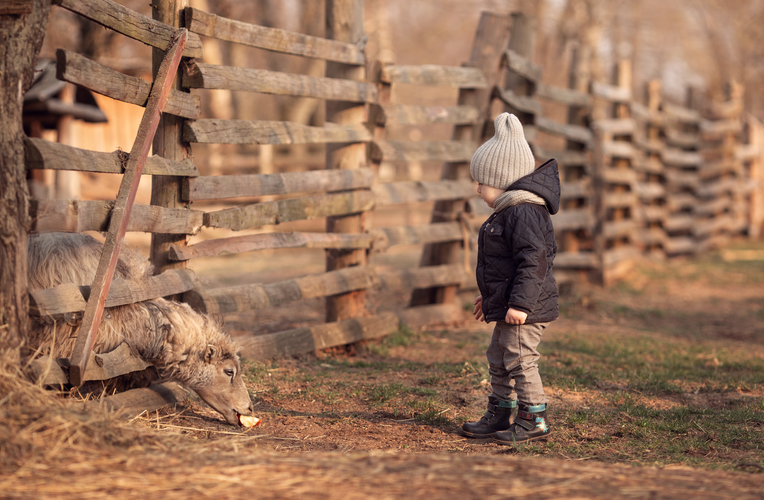 Прогулка в конном клубе. Семейный и детский фотограф в Вильнюсе Светлана Наумова