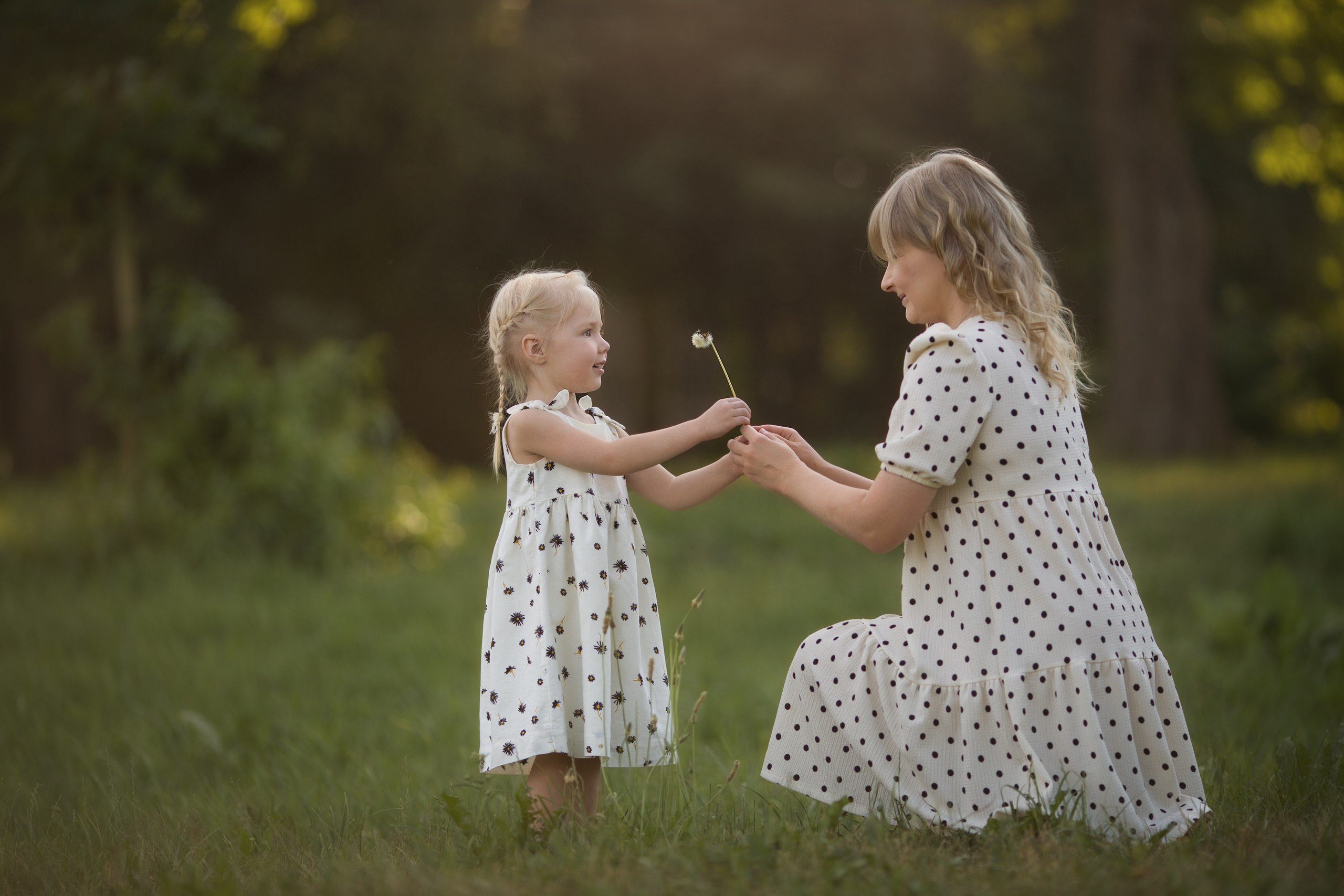 Family walk in a chamomile field. Family photographer in Vilnuis Svetlana Naumova