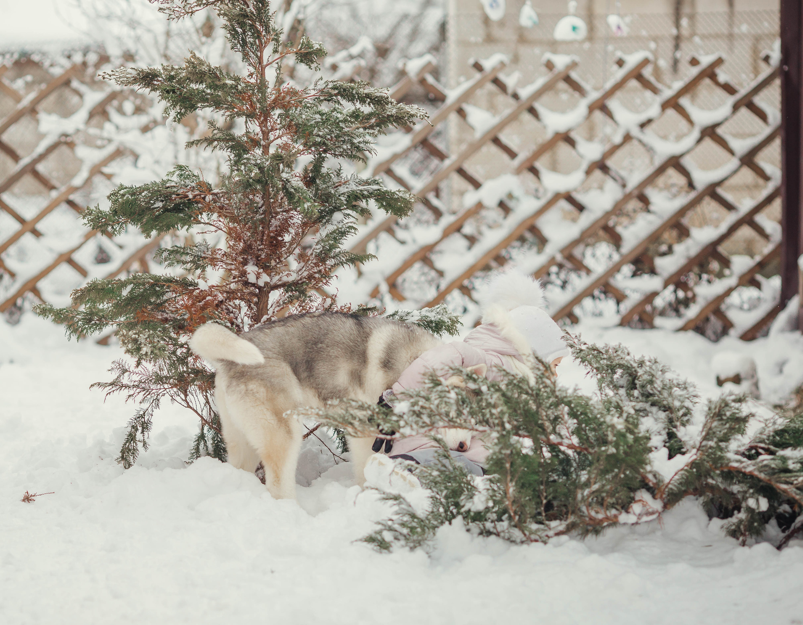 Waiting for the holiday. Family photographer in Vilnuis Svetlana Naumova