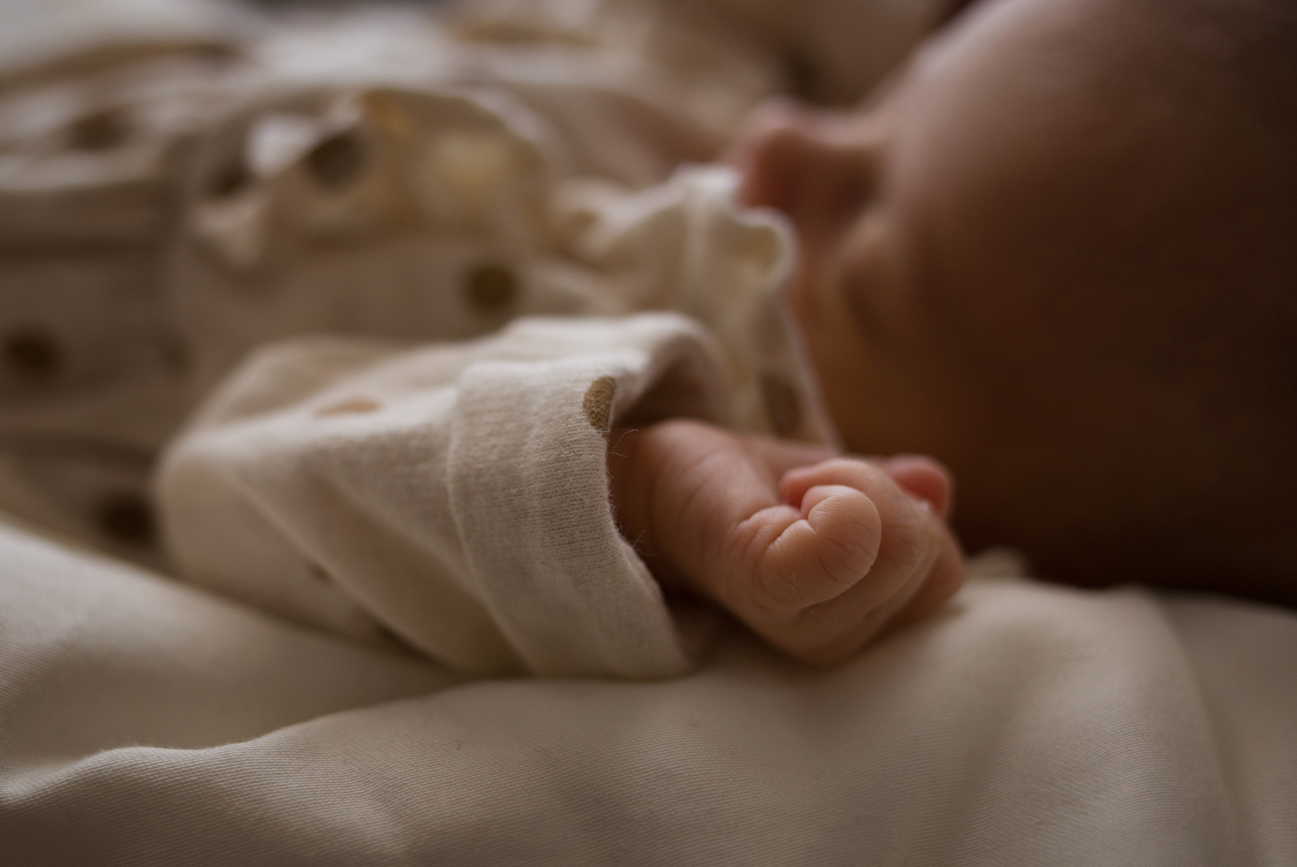 2 weeks. Family photographer in Vilnuis Svetlana Naumova