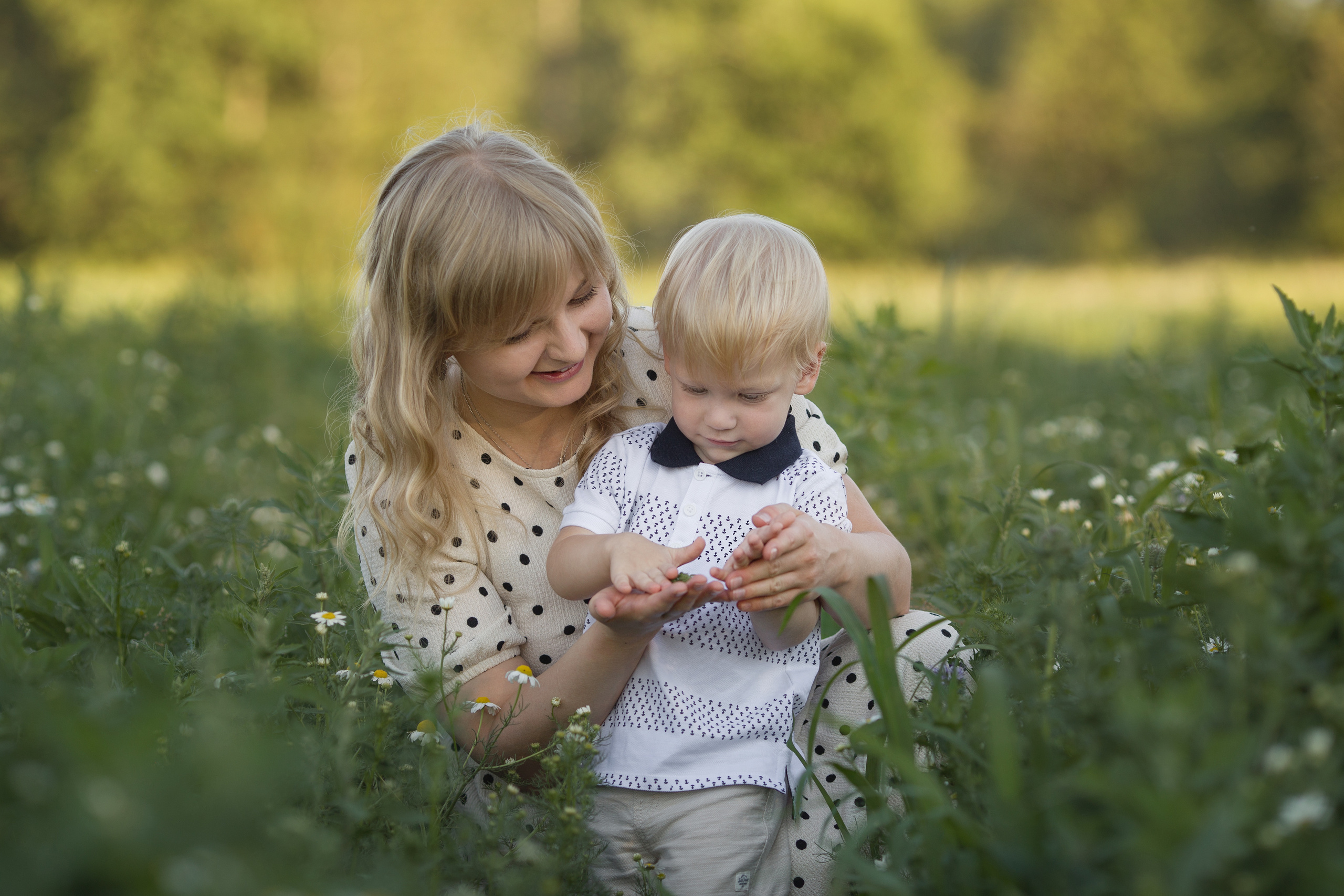 Family walk in a chamomile field. Family photographer in Vilnuis Svetlana Naumova
