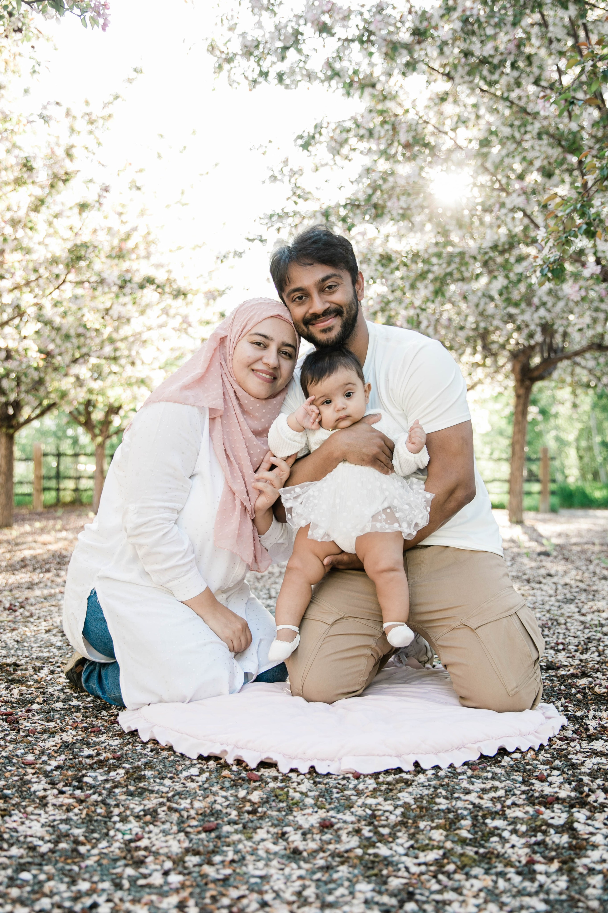 Nabeel Cherry Blossoms. Fotografía accesible en Calgary