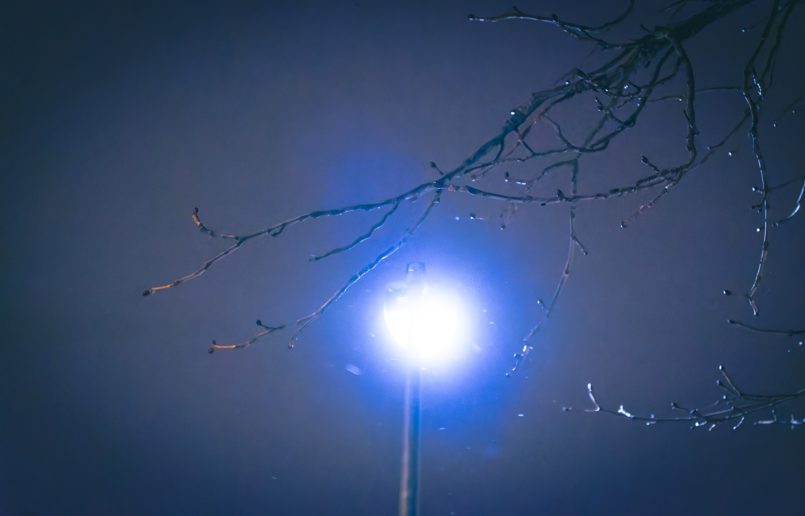 Talvine öö. Nebula 25 — Fotod teie hingele