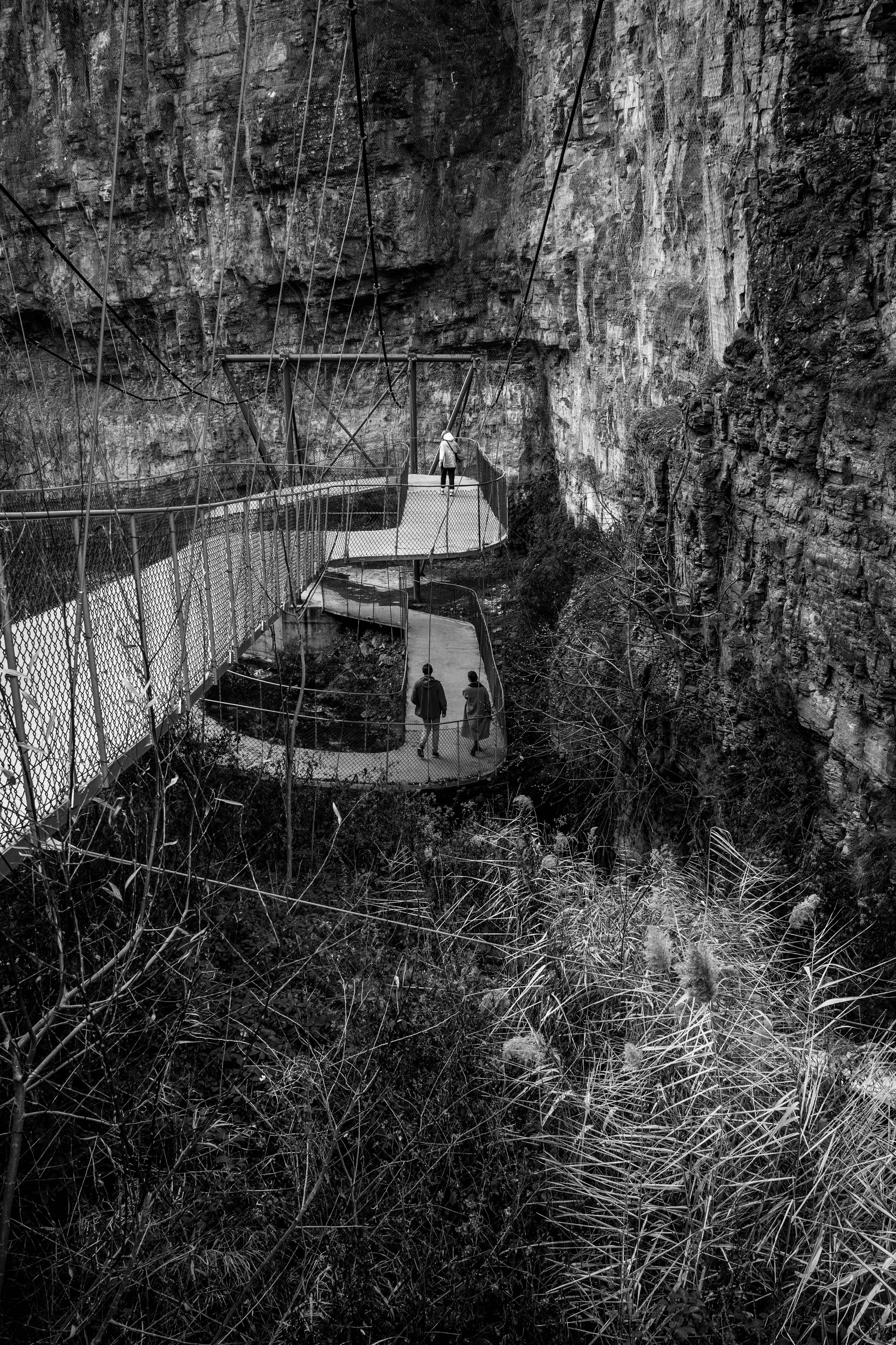 Hidden Path. Tbilisi