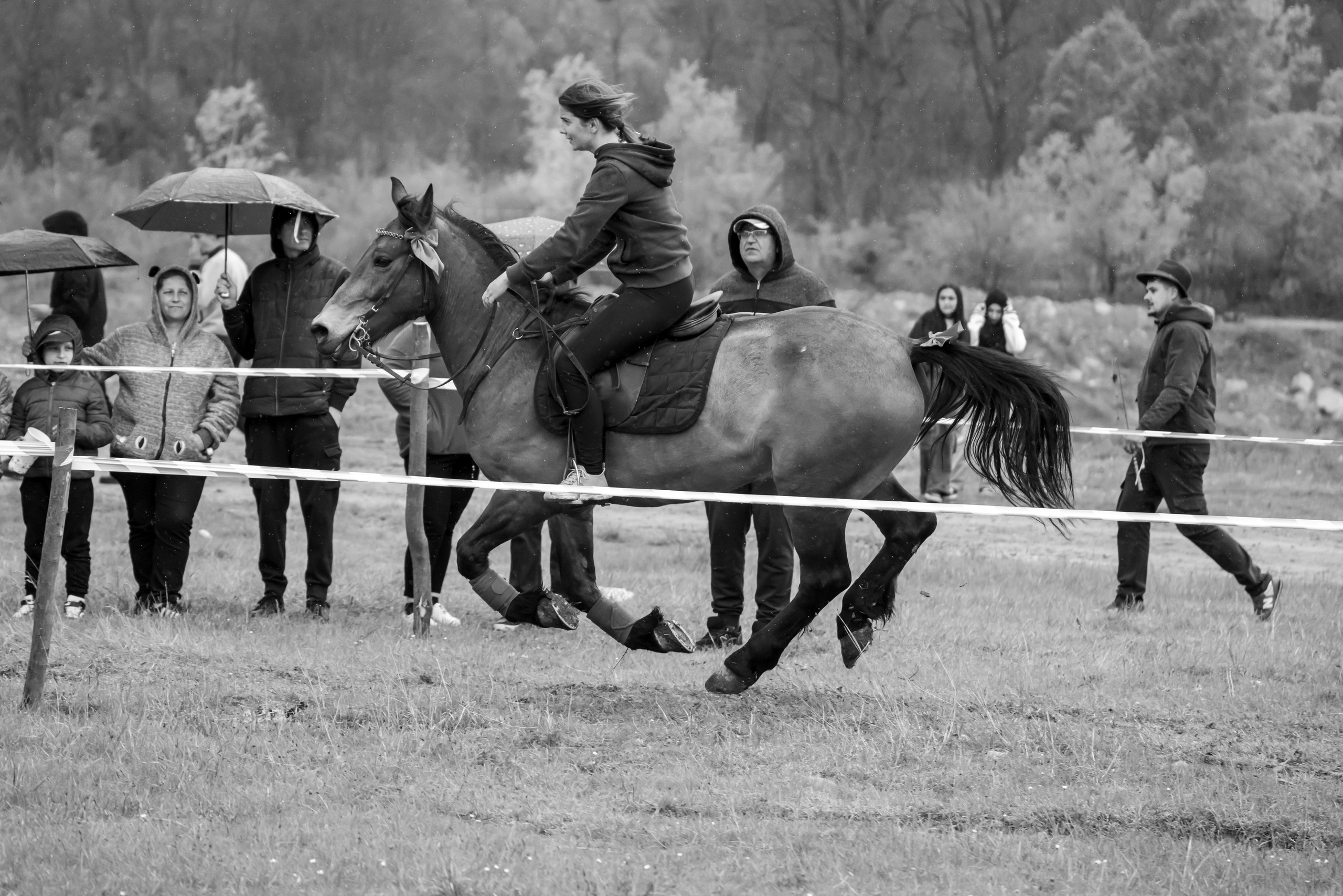Concurs Ecvestru Vărbilău ediția a 4-a. Mihai Alexandra Events