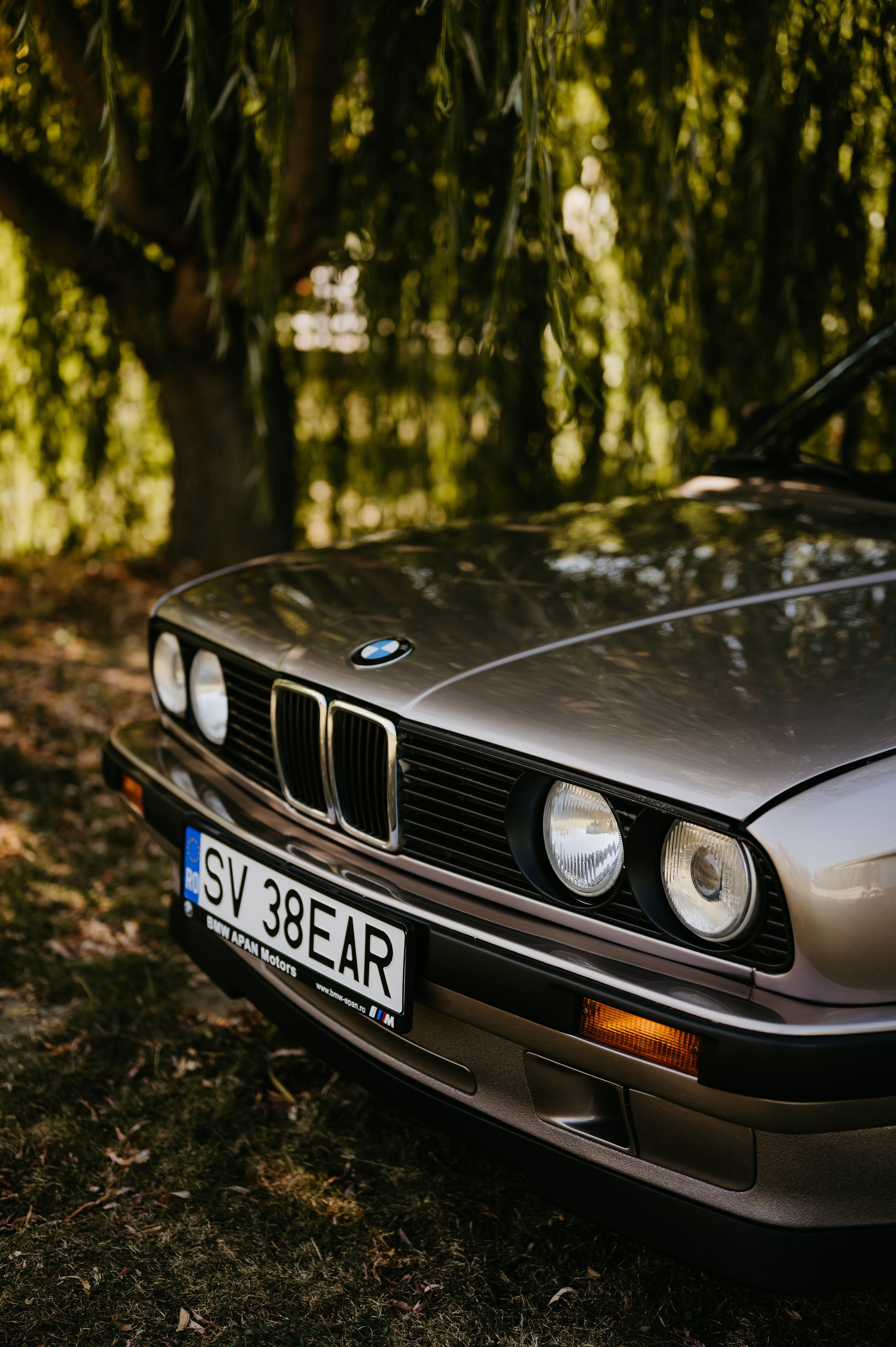 Ionut si Mihaela. Valentin Melen — wedding photographer