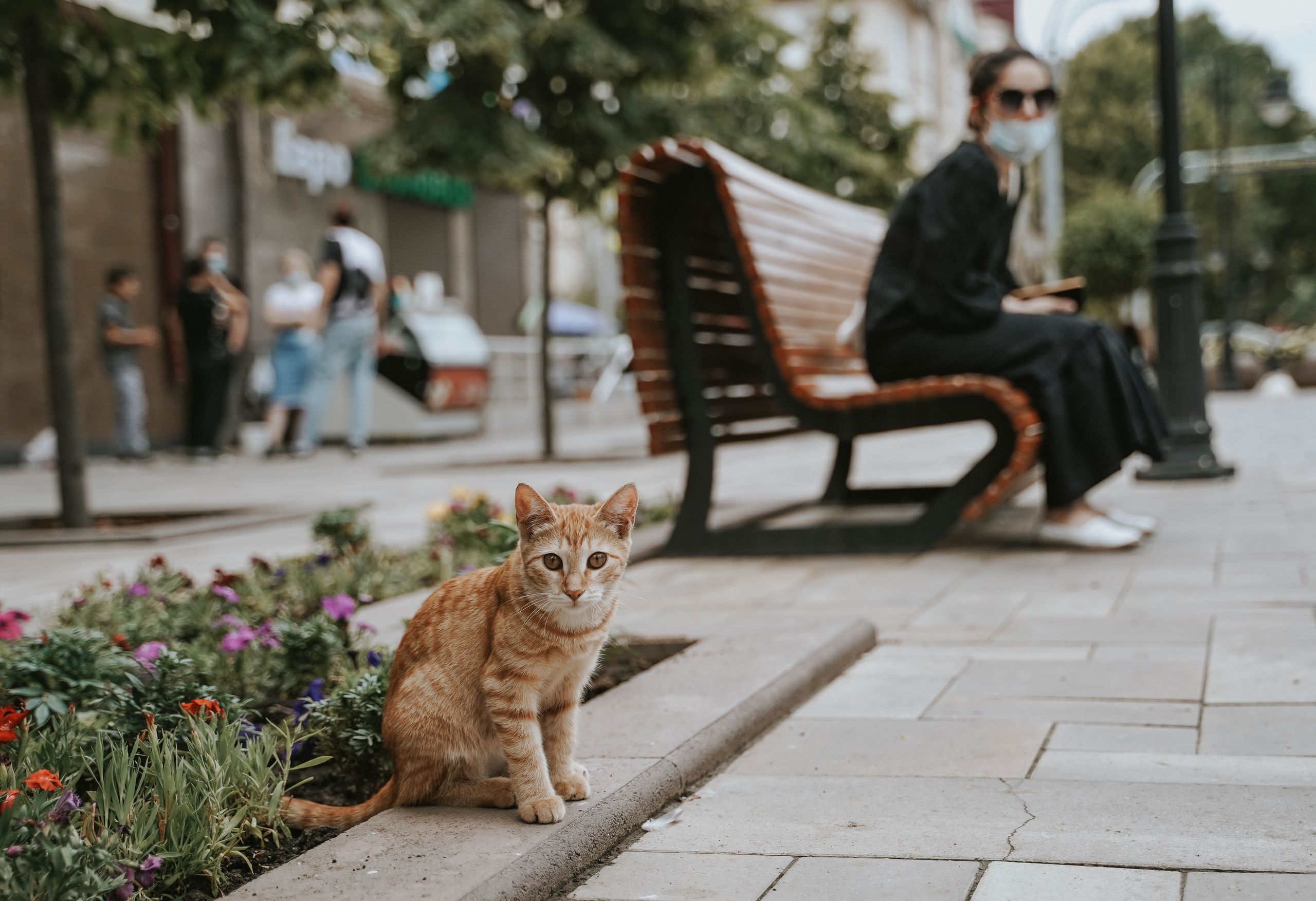 Кот шпедингера. Стрит-фотография, полная абсурда, идиотизма и красоты
