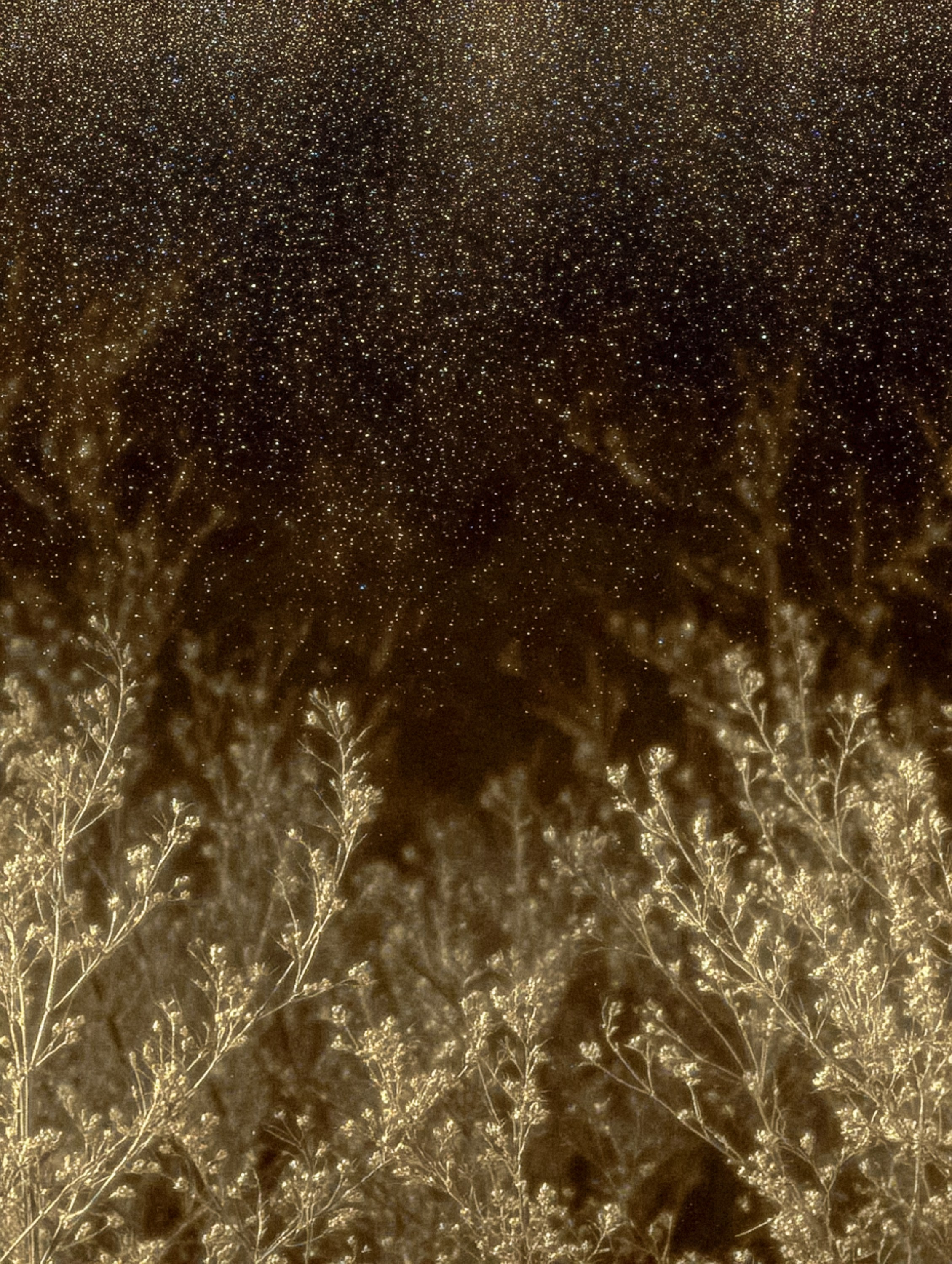 Fotografía y Videos Generados con IA – Marina Kálcheva. Marina Kálcheva – Photographer, Videographer & Visual Artist in Barcelona