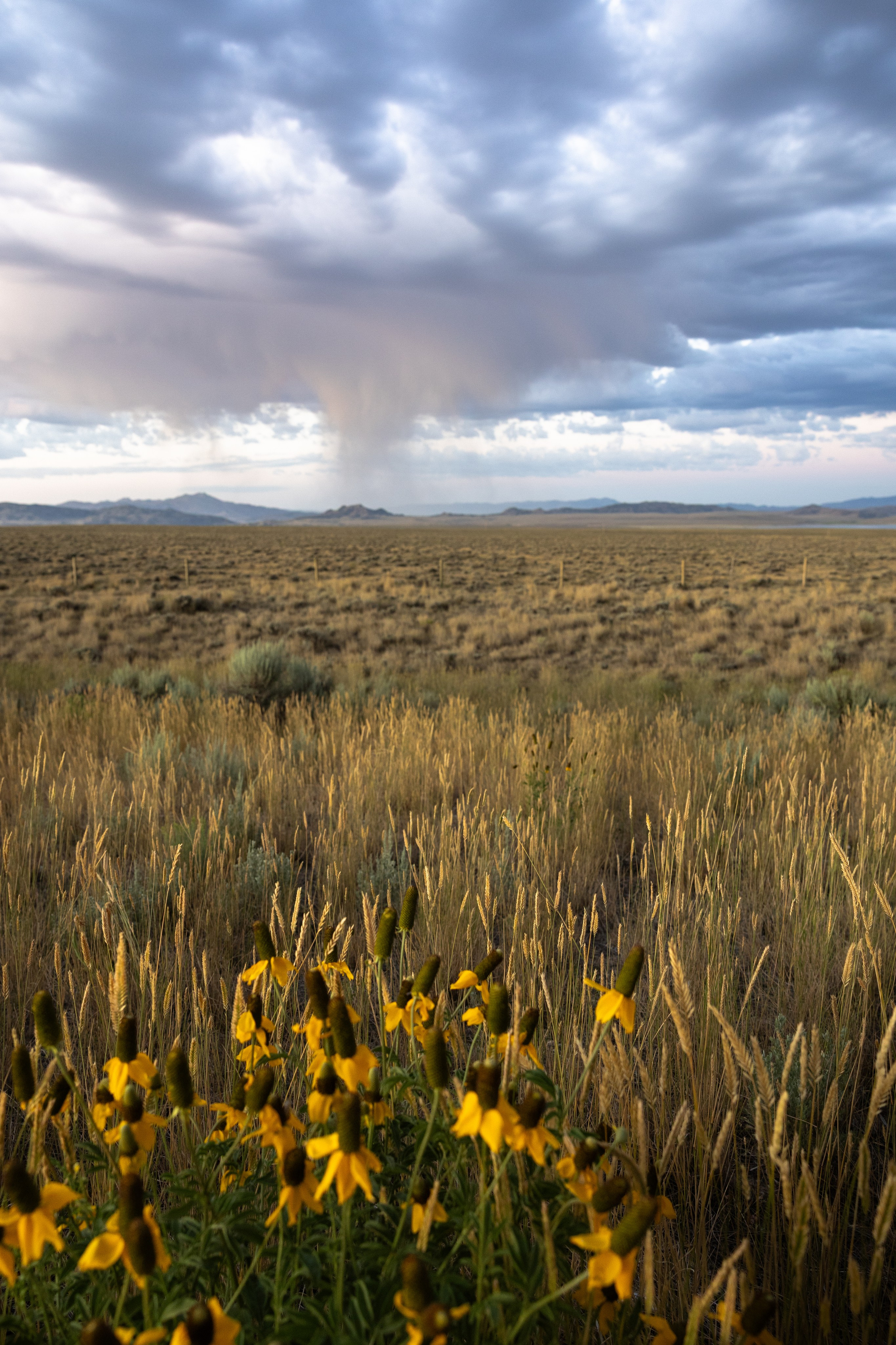 Wyoming. Family Lifestyle Photography