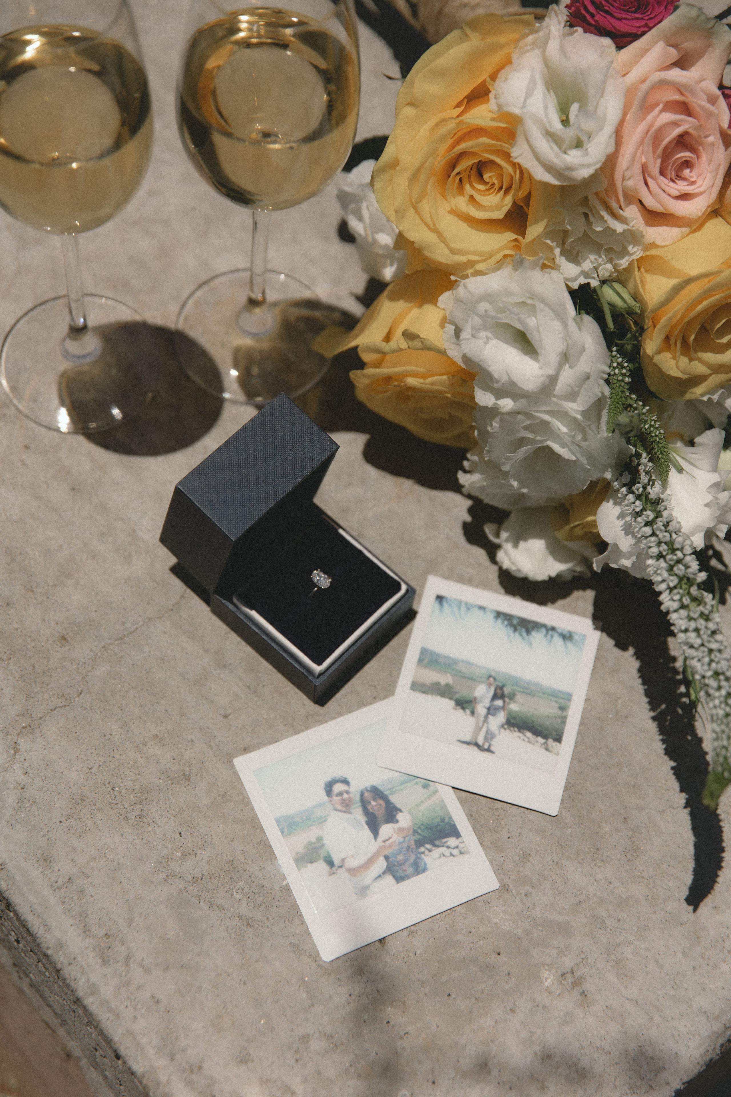 Brian & Erika. Wedding proposal. Fotógrafa familiar Santiago y Chile Anna Almazova