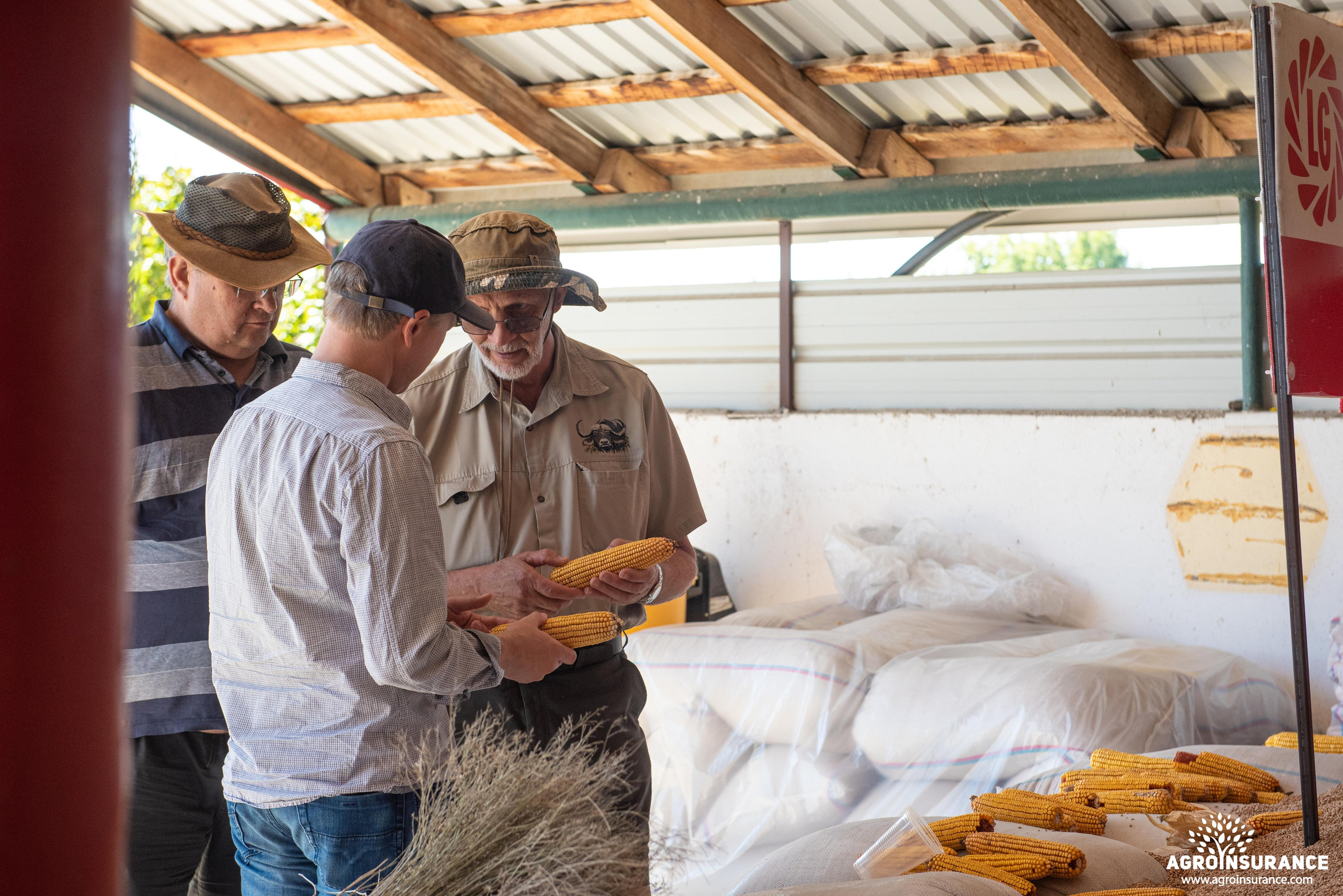 Event photography. Photographer in Tbilisi