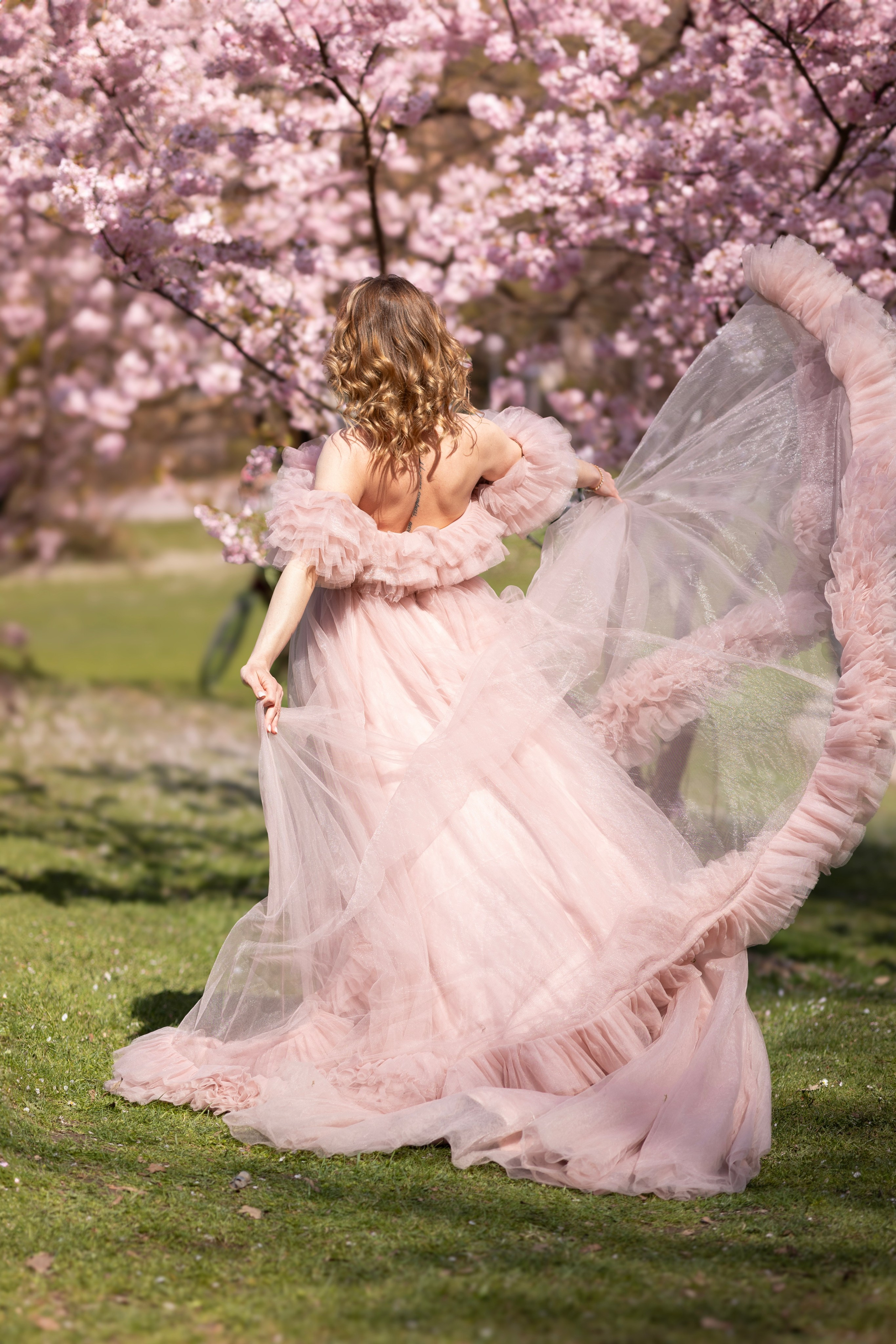 Cherry Blossoms in Munich. Photographer in Munich