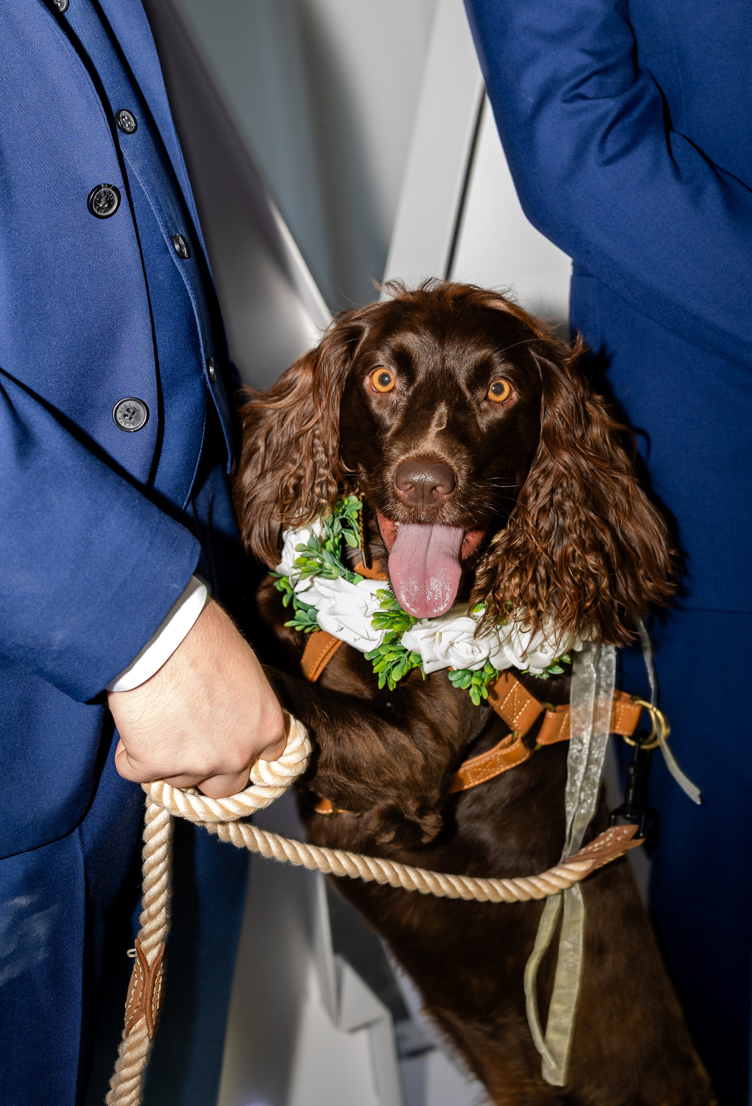 Romance at The Terrace: Kacey & Garrett’s Southern Wedding in Abbeville. Wedding and portrait photography in Greenville SC