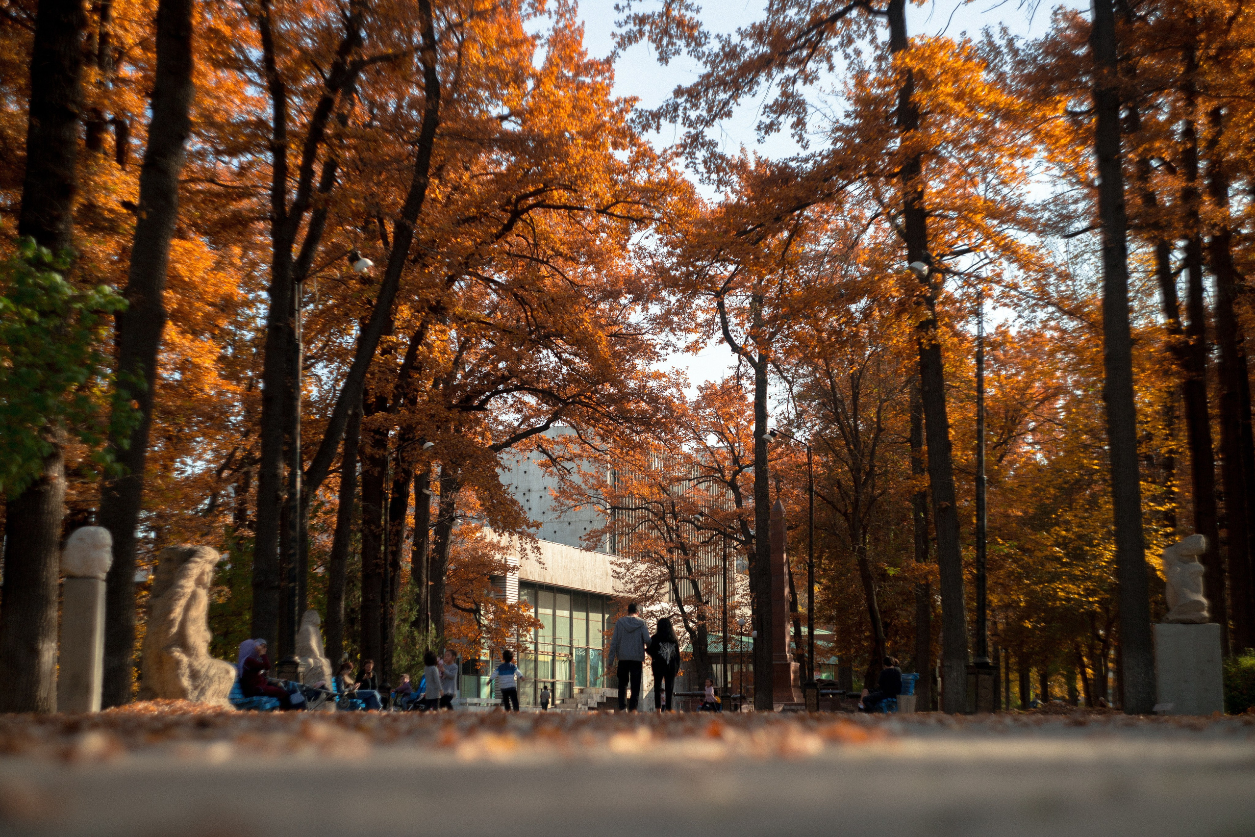Street. The Photographer