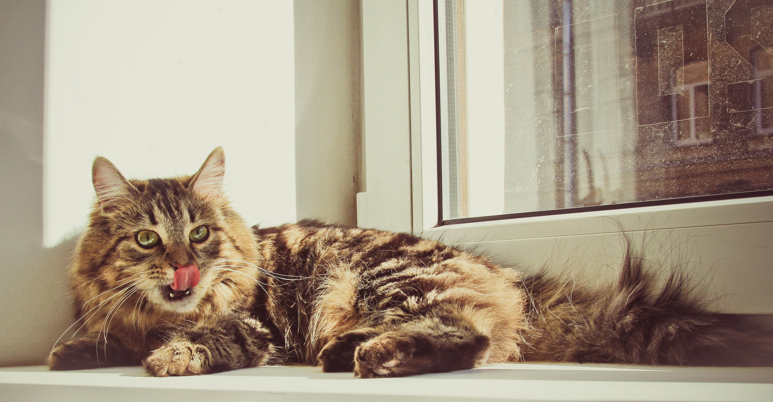 2012. Стрит-фотография, полная абсурда, идиотизма и красоты