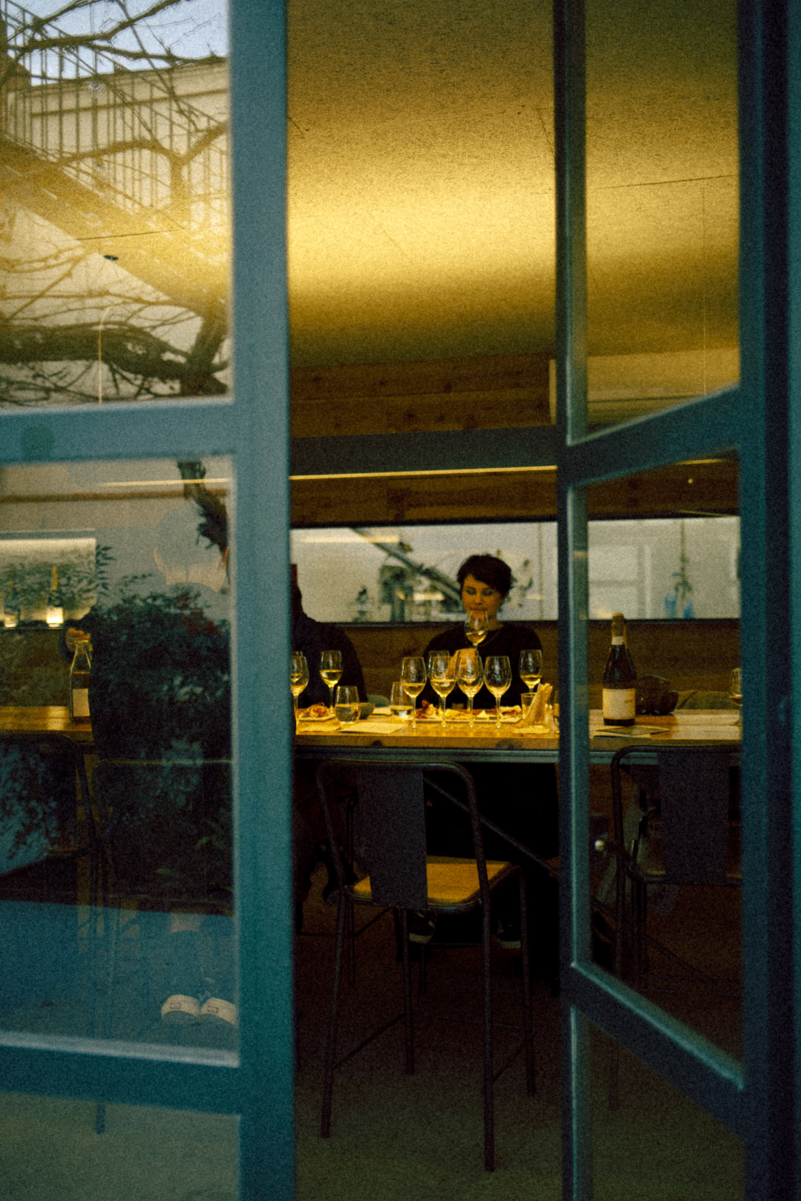 My birthday trip to the winery. Marina Kálcheva — Photographer, Videographer & Visual Artist in Barcelona