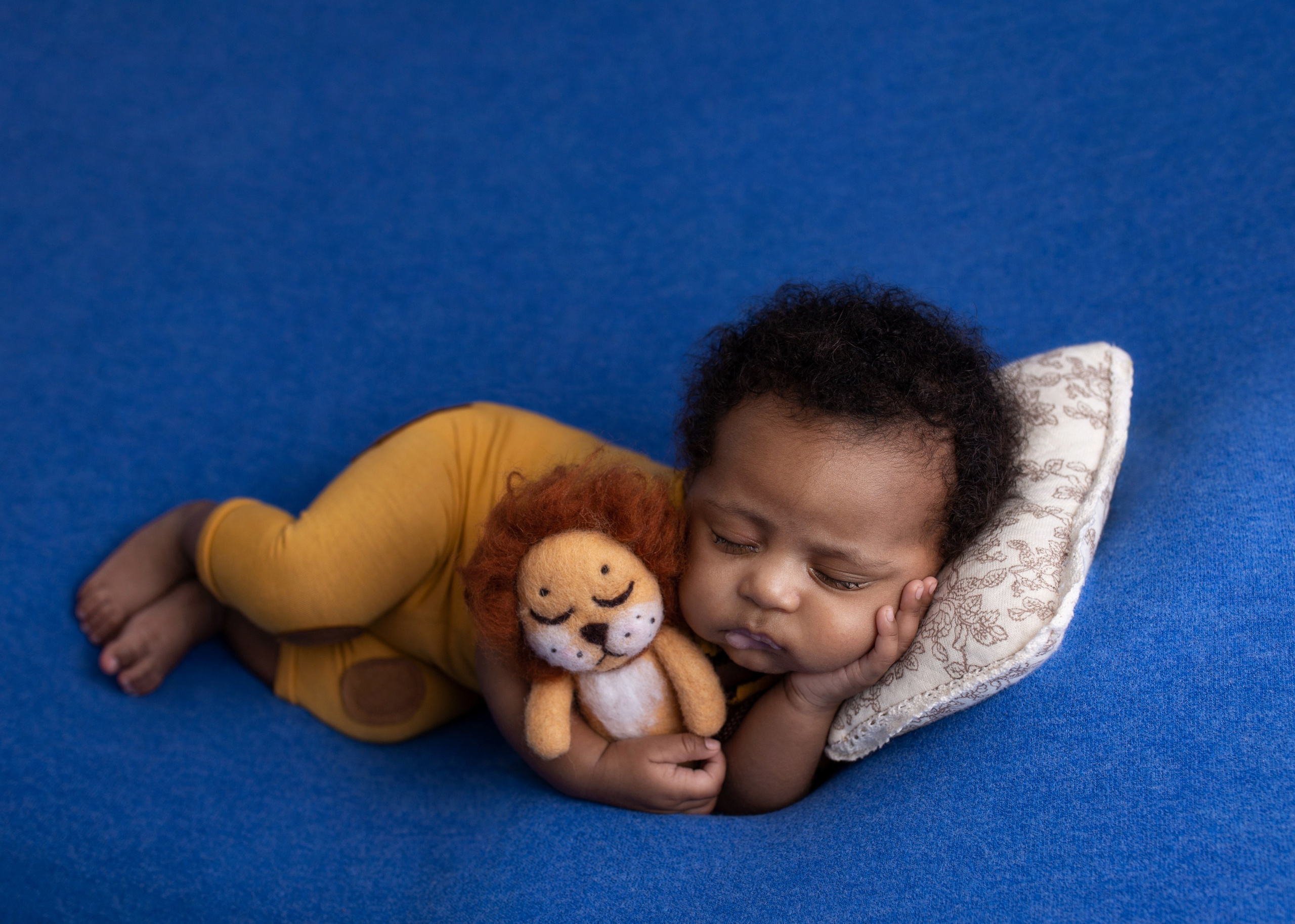 Каталог 11 Newborn. Катерина Шустерман — фотограф Newborn, семейный в Израиле