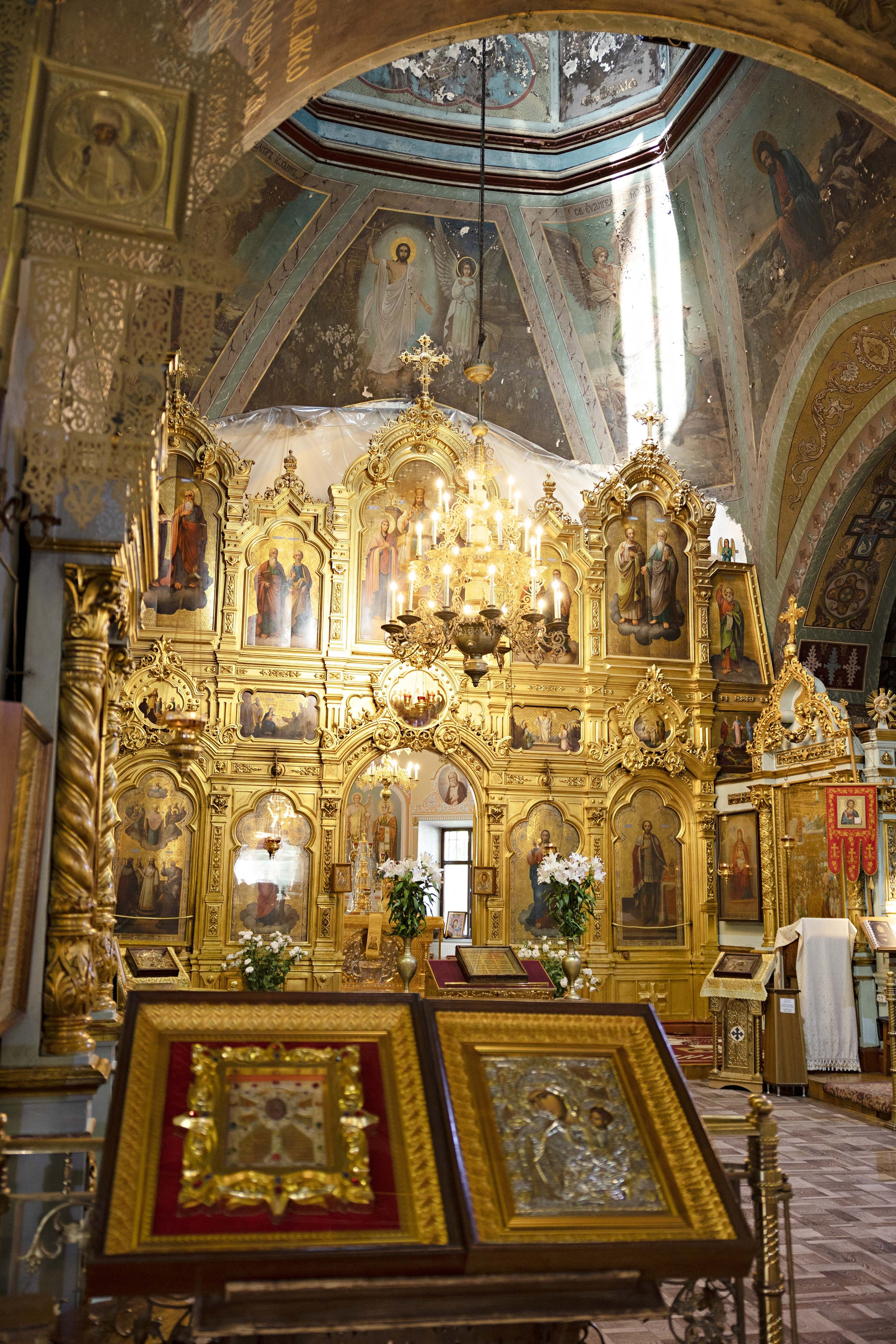 S & R. Portrait and Family Photographer in Netherlands