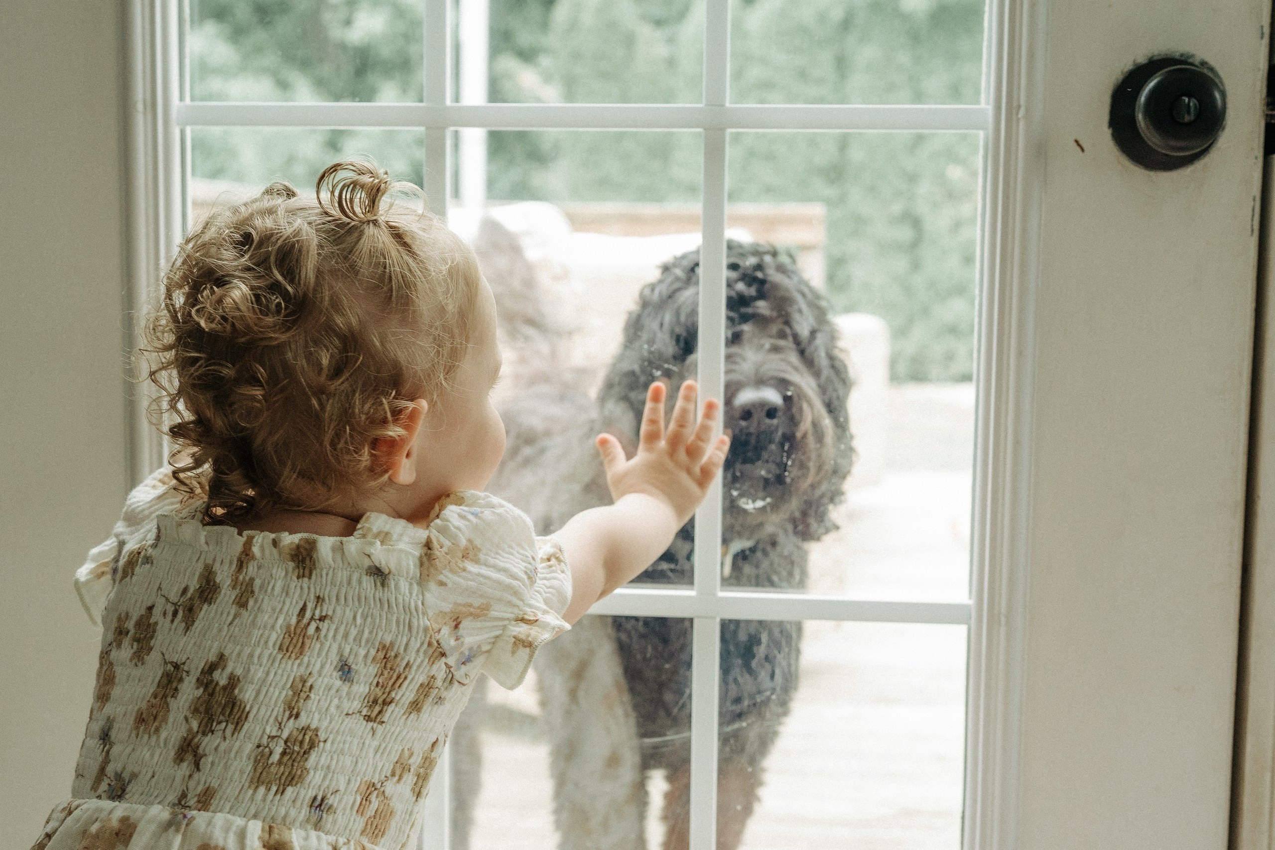 Emily, Kinsley, Kyle, Jace. Alisa Tant — Family and newborn photographer Bucks County, Montgomery county, Philadelphia, NJ