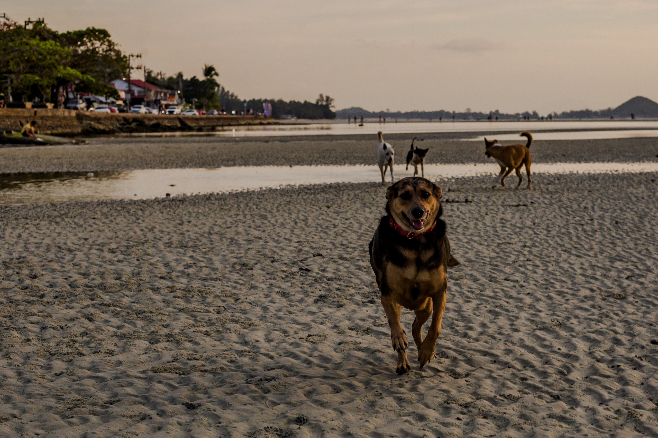 Thailand 2023, Samui. Art Photographer