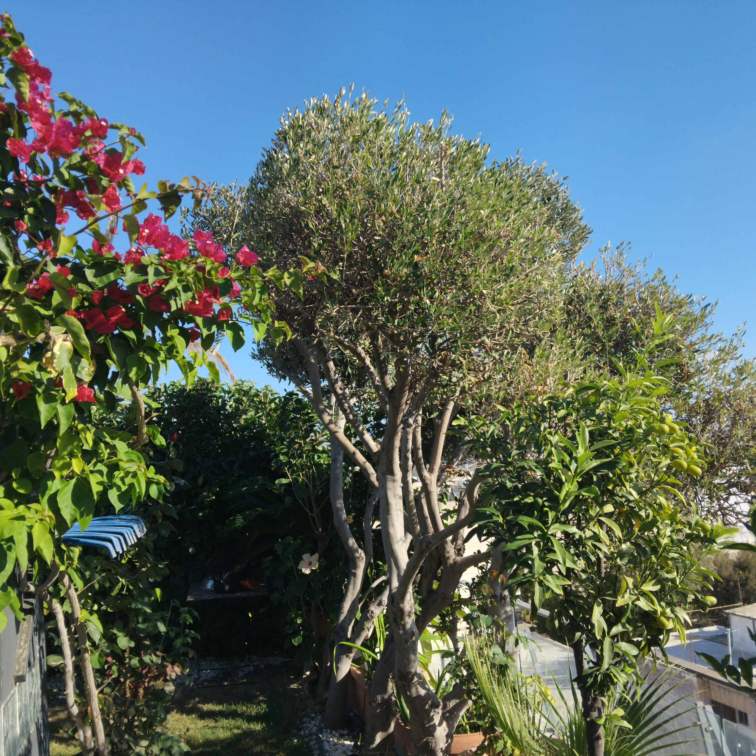 Κήπος Ψυχικό. Geoponitikon-Όταν η Επιστήμη συναντά την Τέχνη στο Φυσικό Τοπίο!