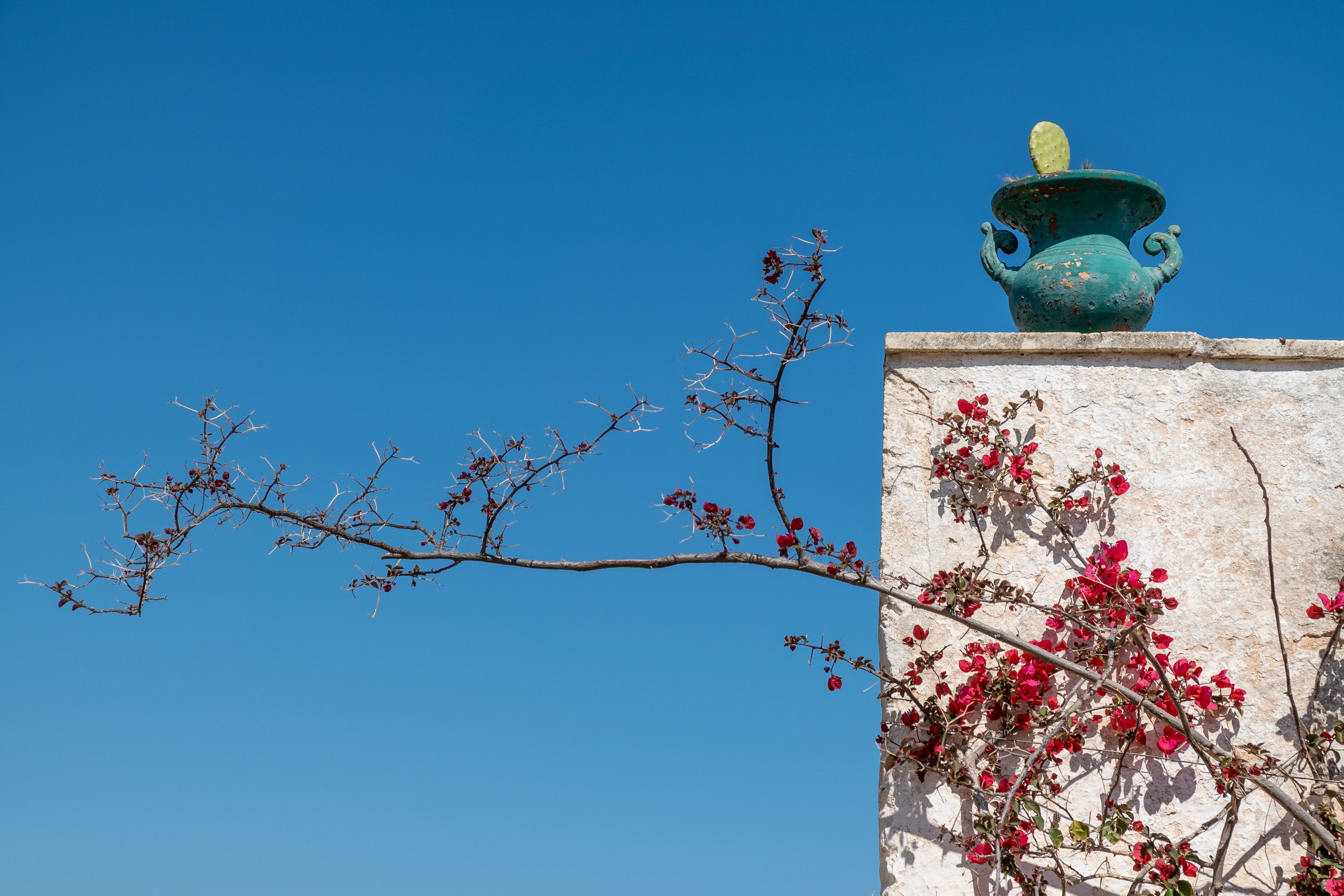 Amazing view of a B&B in the Cisternino countryside (Valle D'Itria, Martina Franca, Apulia, Alberobello, Cisternino, Ostuni, Polignano, Apulia)