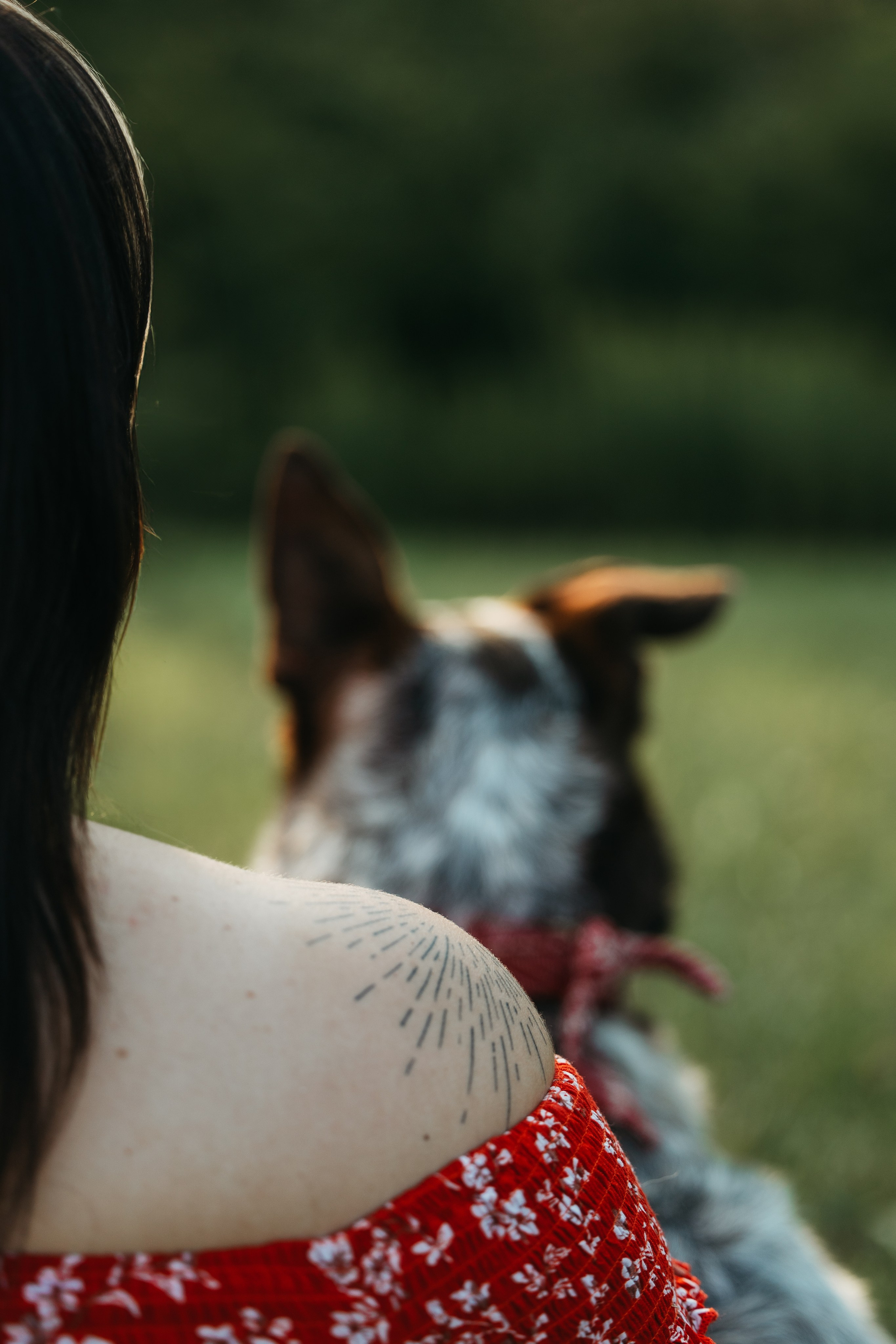 Rubee & Luisa. Pet Photographer Viktoriya Aleshenko