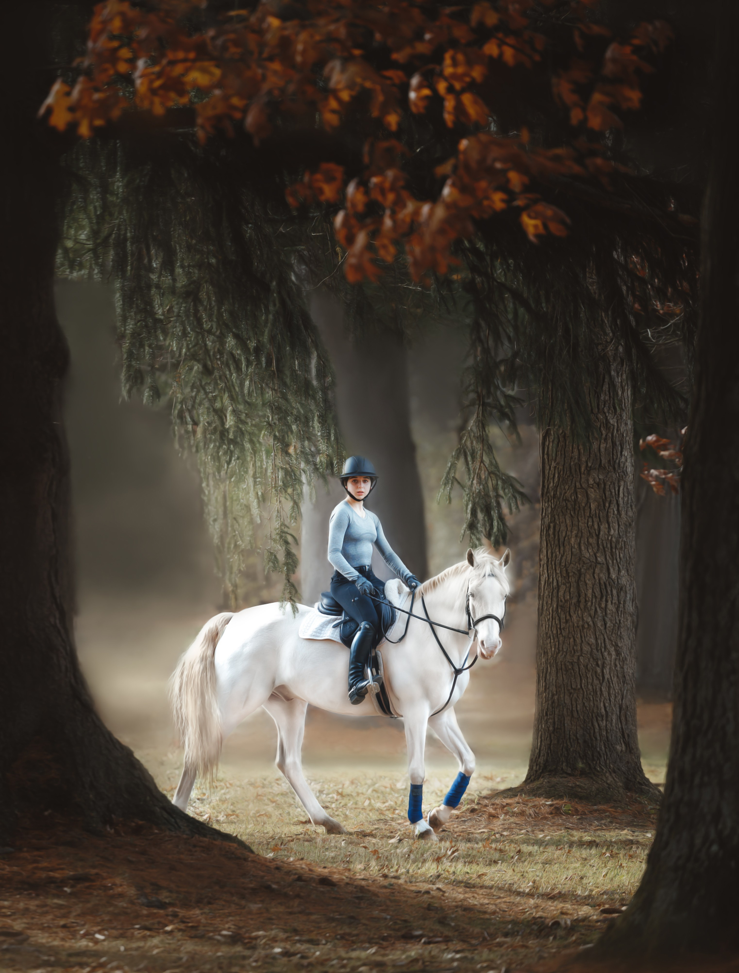 Mel & Christina. Pet Photographer Viktoriya Aleshenko