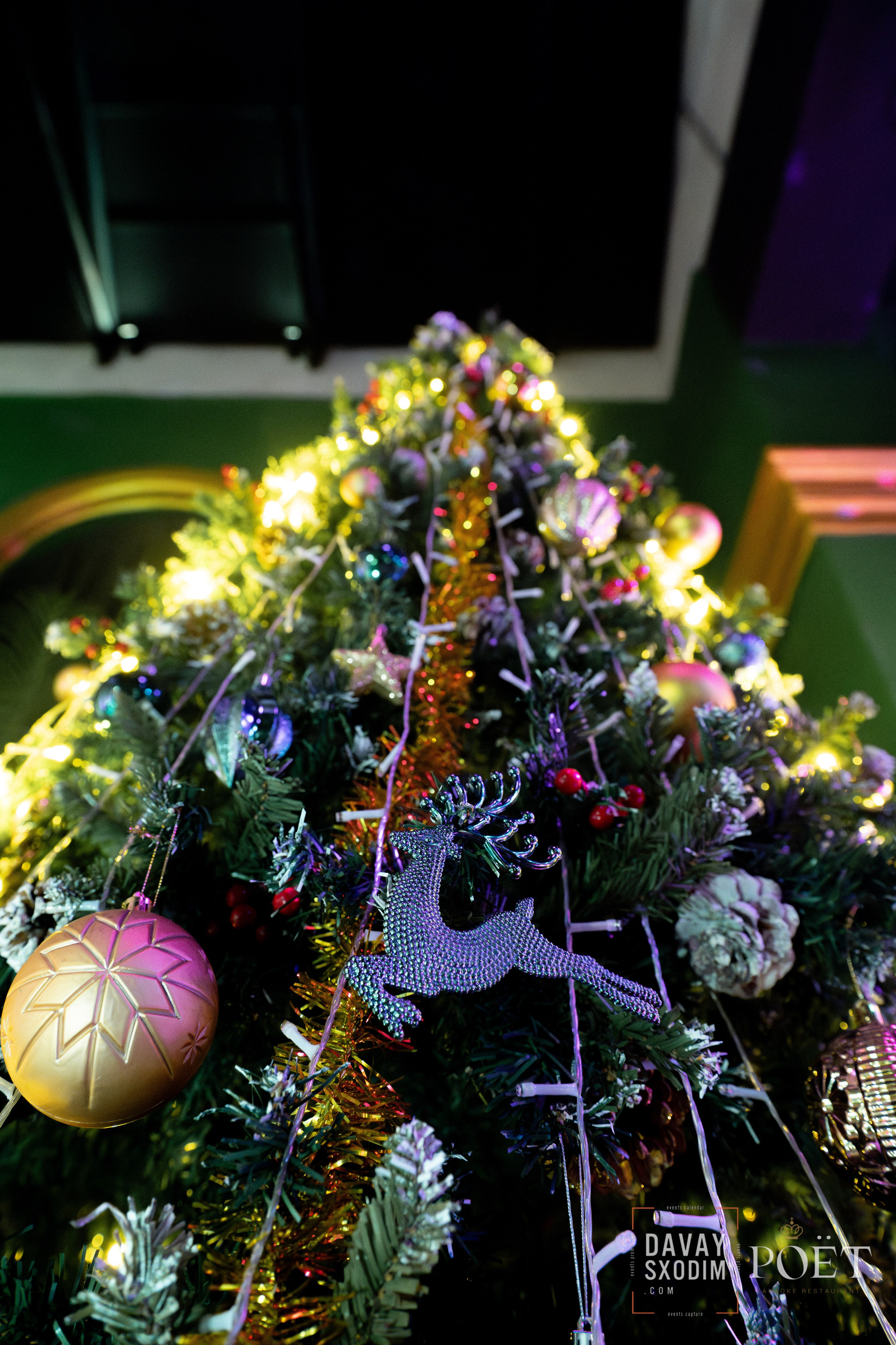 Ночь караоке | Фоторепортаж | Видеорепортаж | Афиша | DAVAYSXODIM.com PHUKET. АФИША|ФОТОРЕПОРТАЖИ|ИВЕНТЫ|ПХУКЕТ