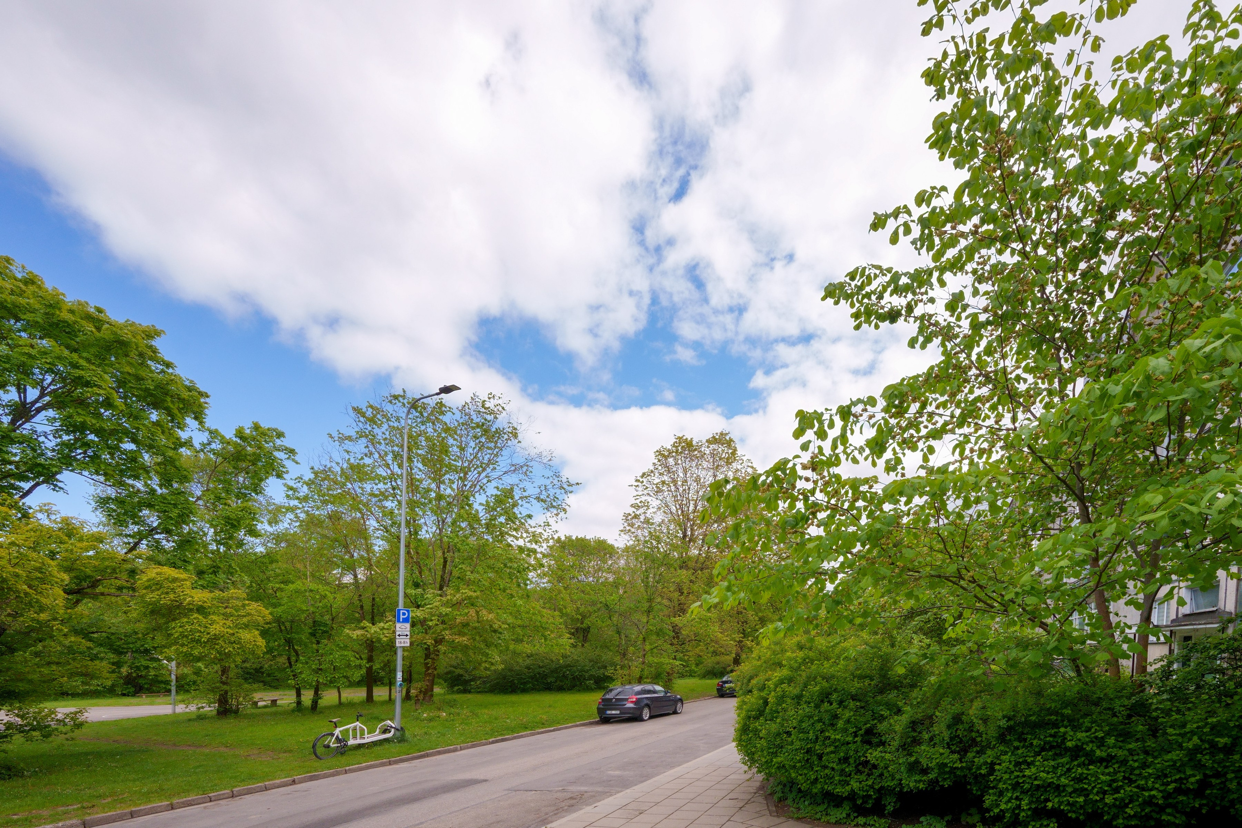Žirmunų g. 98. Elina Sapiega fotografė Vilniuje