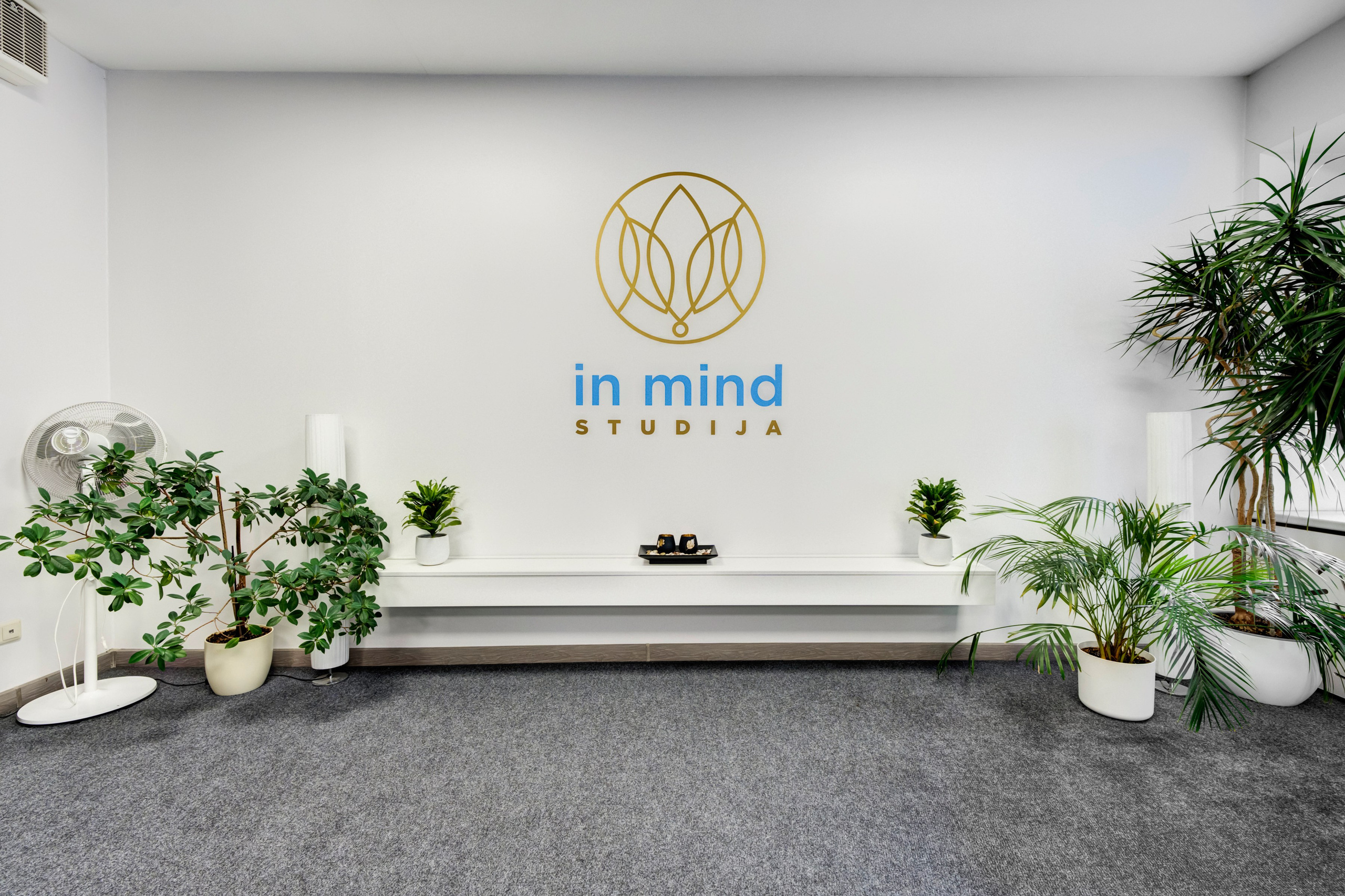 Saltoniškių g. 31. Elina Sapiega fotografė Vilniuje